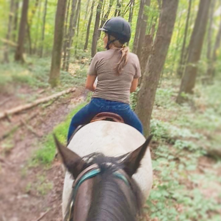 Herding cows all this evening and then some trails! #farmlifeisthebestlife #bristolknightfarms