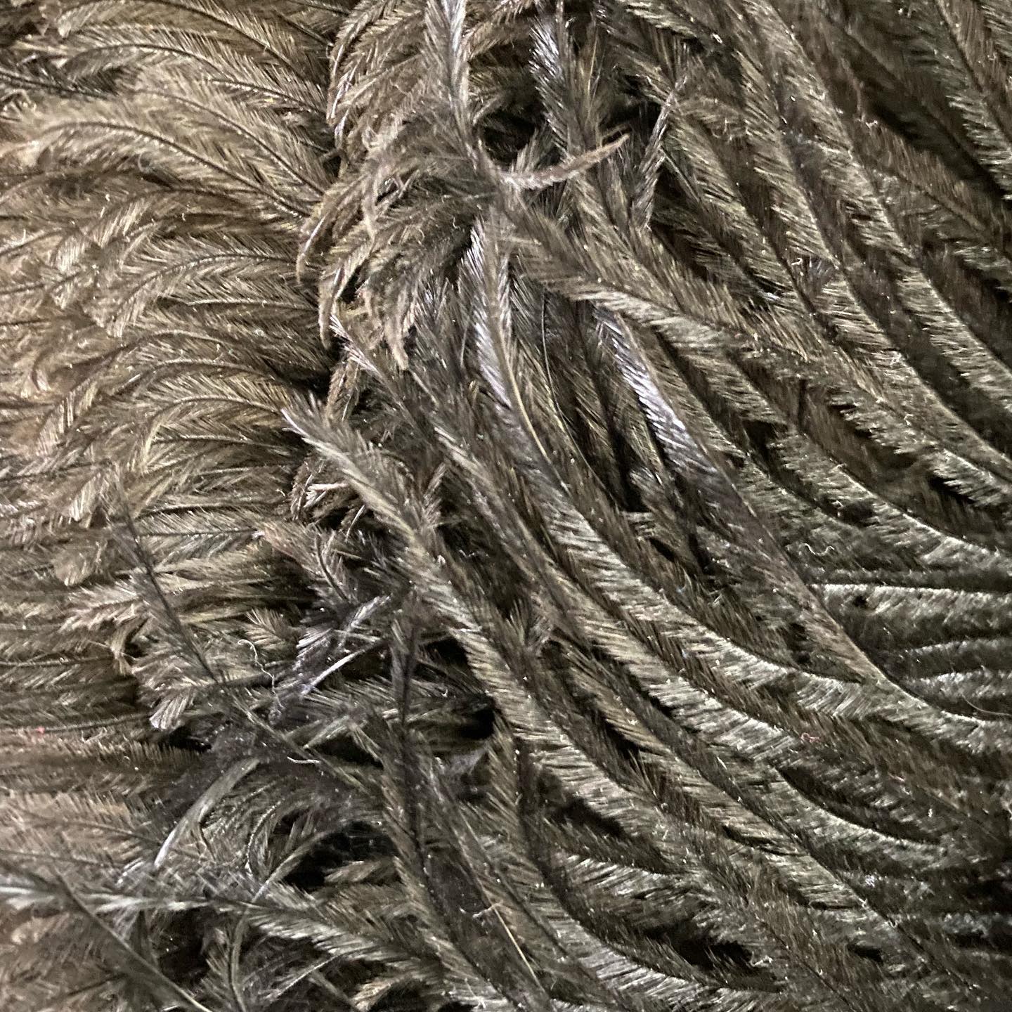 Textures of Lane Place: Any guesses on what this week’s item is?
Comment below with your guess!
#historichousemuseum #antique #uniquelymoco #crawfordsvilleindiana #mchslaneplace #whatisit #texture