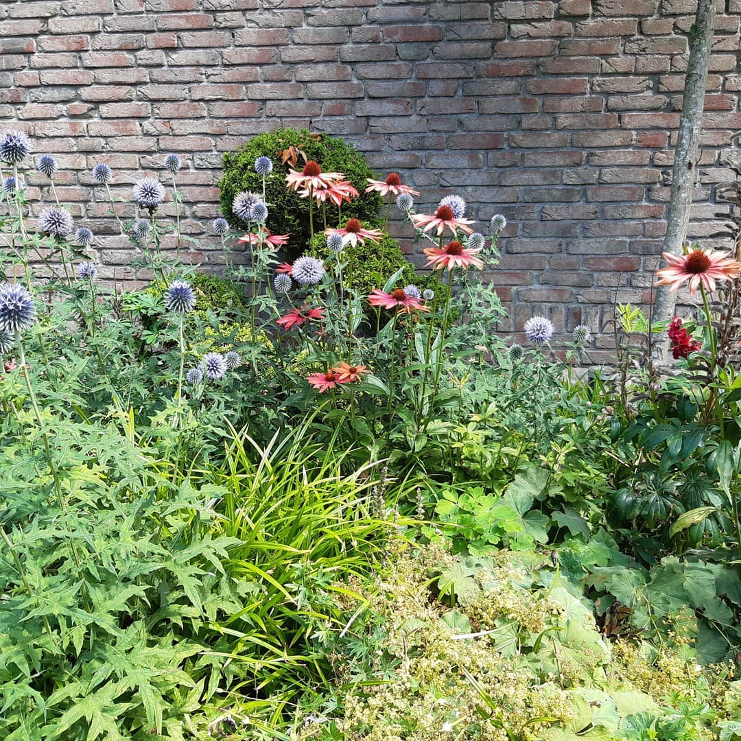 Tuin in Manderveen.
Ontwerp 2017, foto's zomer 2021.