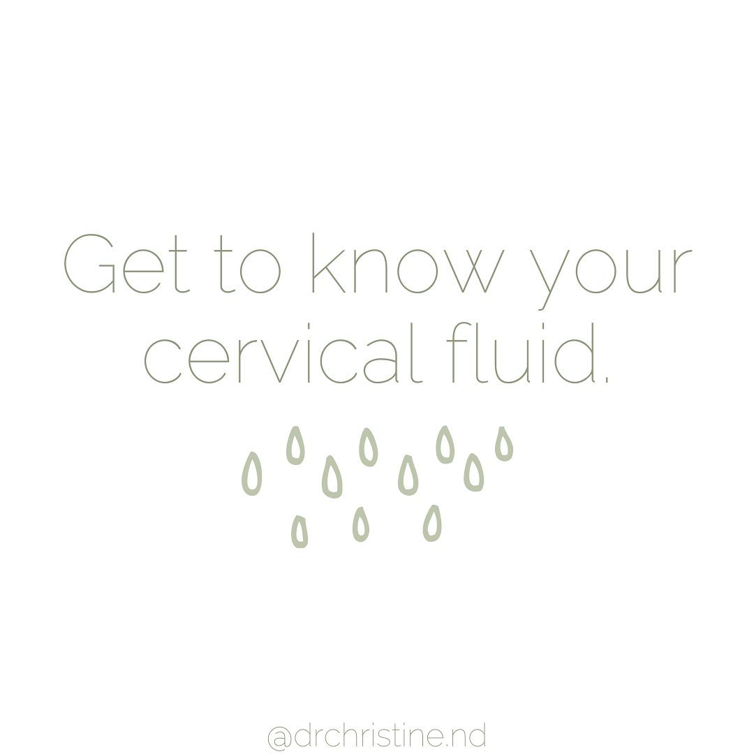 This is one the first things I discuss with patients that are getting ready to try and conceive, or even just coming off the pill and thinking about getting pregnant in the future.
Why? It is one of the best ways to help determine if / when you’re ovulating! 🥚
(Which in turn gives us insight into how healthy your cycle and hormones are, and helps you know when to time intercourse to become or avoid getting pregnant!)
Cervical fluid (aka mucous aka discharge) will change throughout the month based on hormonal shifts 🌊
Right after your period you may not notice any fluid, or there may be some white / creamy / sticky fluid.
Estrogen then begins rising, and hits its peak right before ovulation.
Estrogen causes cervical fluid to become thinner, more watery / lubricative - usually reminiscent of raw egg white.
These changes in cervical fluid are to essentially create a “sperm highway” making it easier for swimmers to travel to the fallopian tubes, to catch an egg 🎉
By identifying this change, we can identify that most fertile point in your cycle.
In some women these changes may be less obvious, and that’s where using other methods to detect ovulation like basal body temperature tracking or LH strips can also be helpful 👍
To start tracking this, you can simply pay attention to what’s happening down there each time you pee (wipe front to back, before going pee to pick-up any fluid). Most period tracking apps have a spot to record your observations ✔️
Need some help troubleshooting or learning more about cycle tracking? Let’s talk! 🙌
