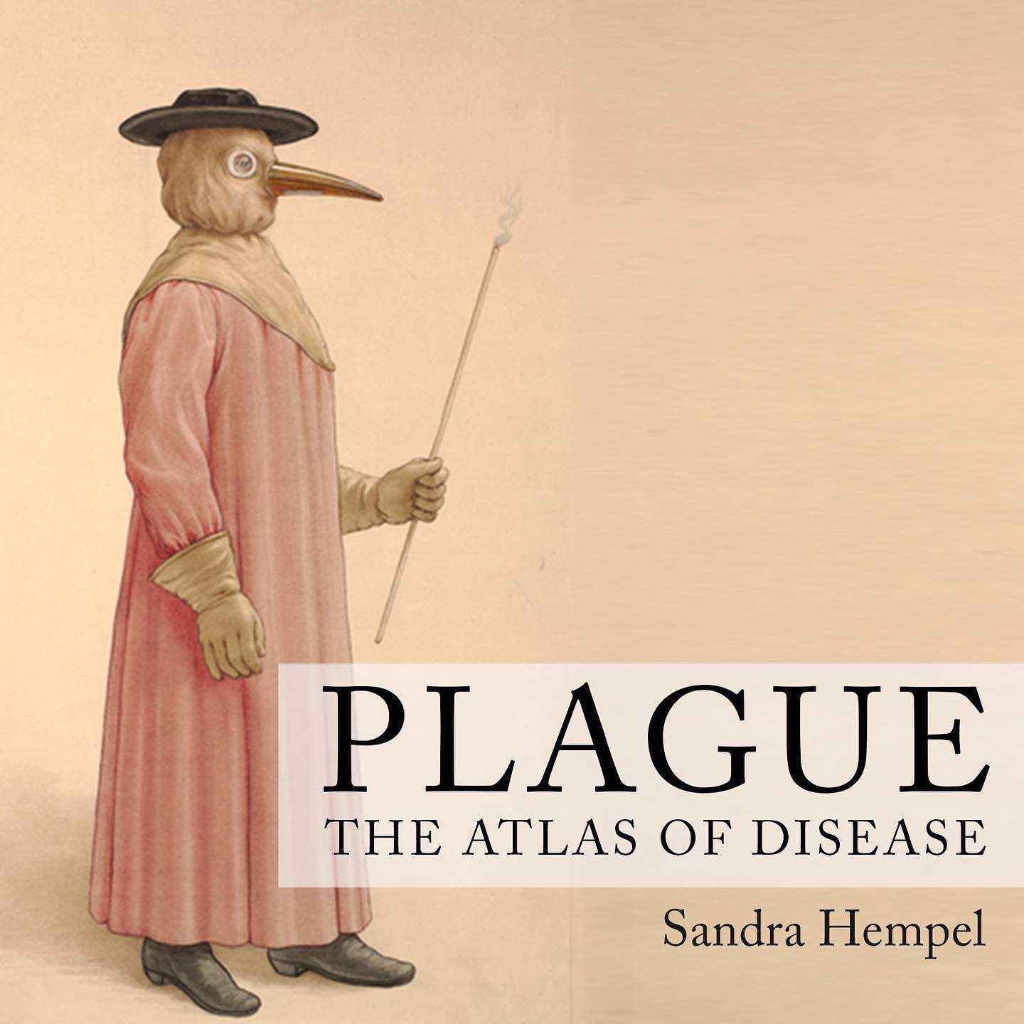 For centuries, plague has caused havoc across continents, changing economies, political structures and social hierarchies. Its name, from the Latin for ‘wound’ or ‘strike’, still has the power to terrorise and is used to describe all manner of disasters.
Did you know that the plague may have been one of the reason that brought the fall of the Roman Empire? Follow @vomitorium.arch for more fun facts! 👏