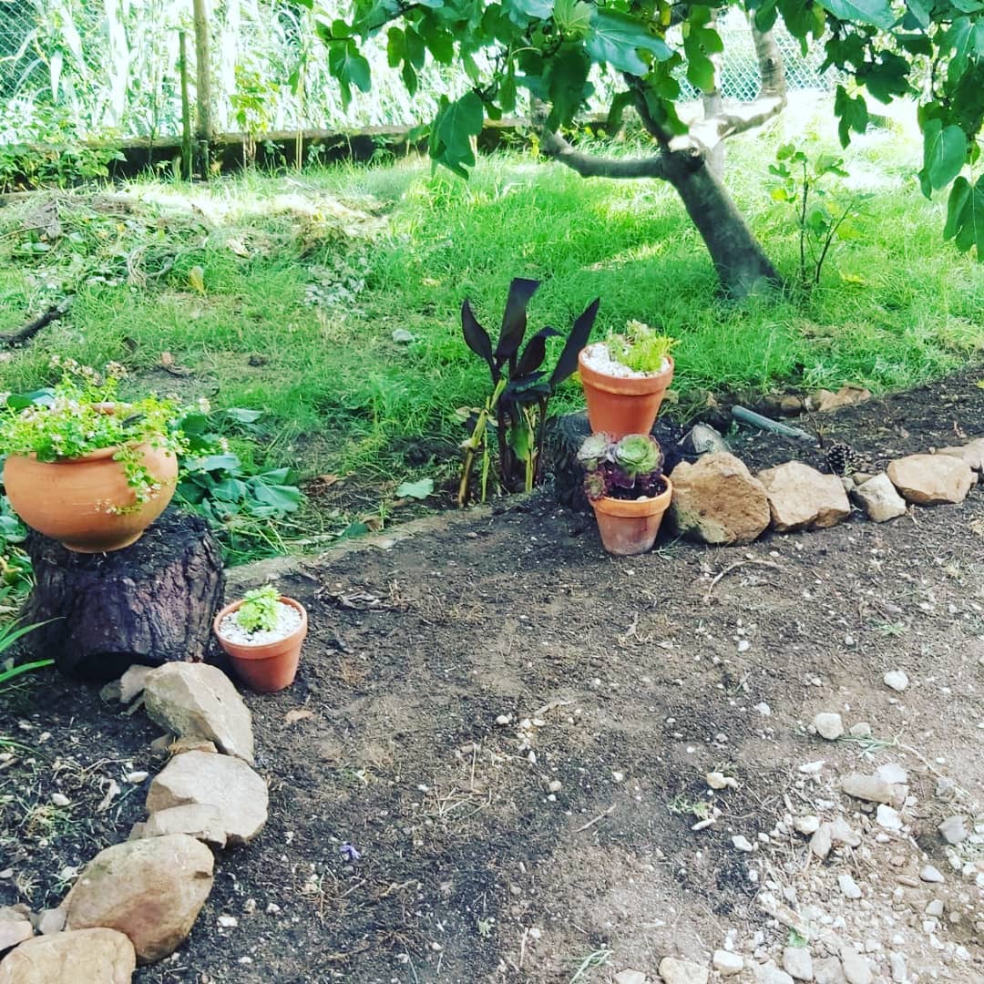 So much beauty is happening since @leozinmiranda started getting involved. Grateful!
Tanta gratidão ao @leozinmiranda que nós anda a fazer coisas tão lindas na TerrAzoia