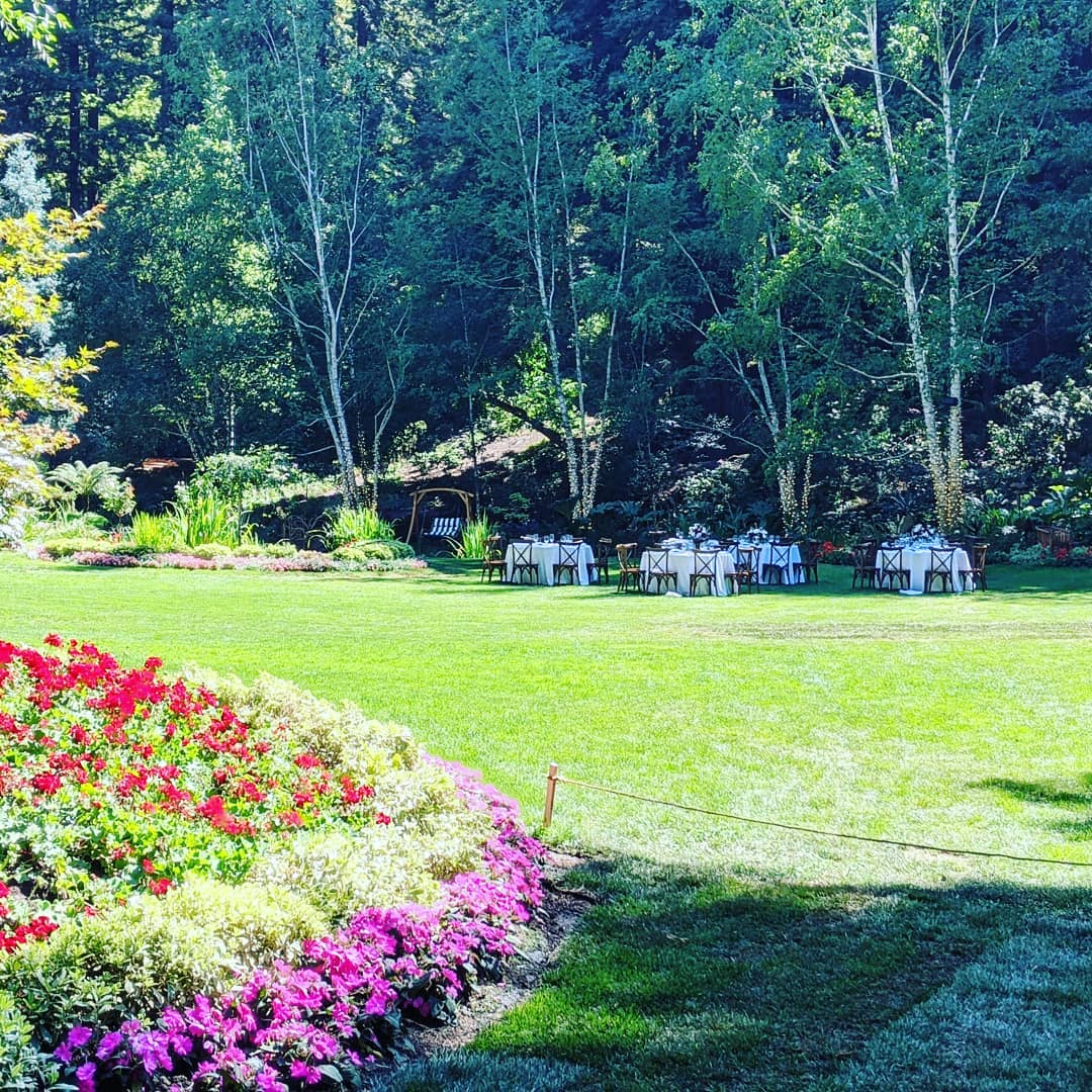 Visiting each familiar venue after over eighteen months away is a special kind of homecoming. Nestldown is a particularly magical spot, I always pass up the golf carts in favor of a stroll through the redwoods. Congrats to today's couple and thanks for asking to be a part of your special day!