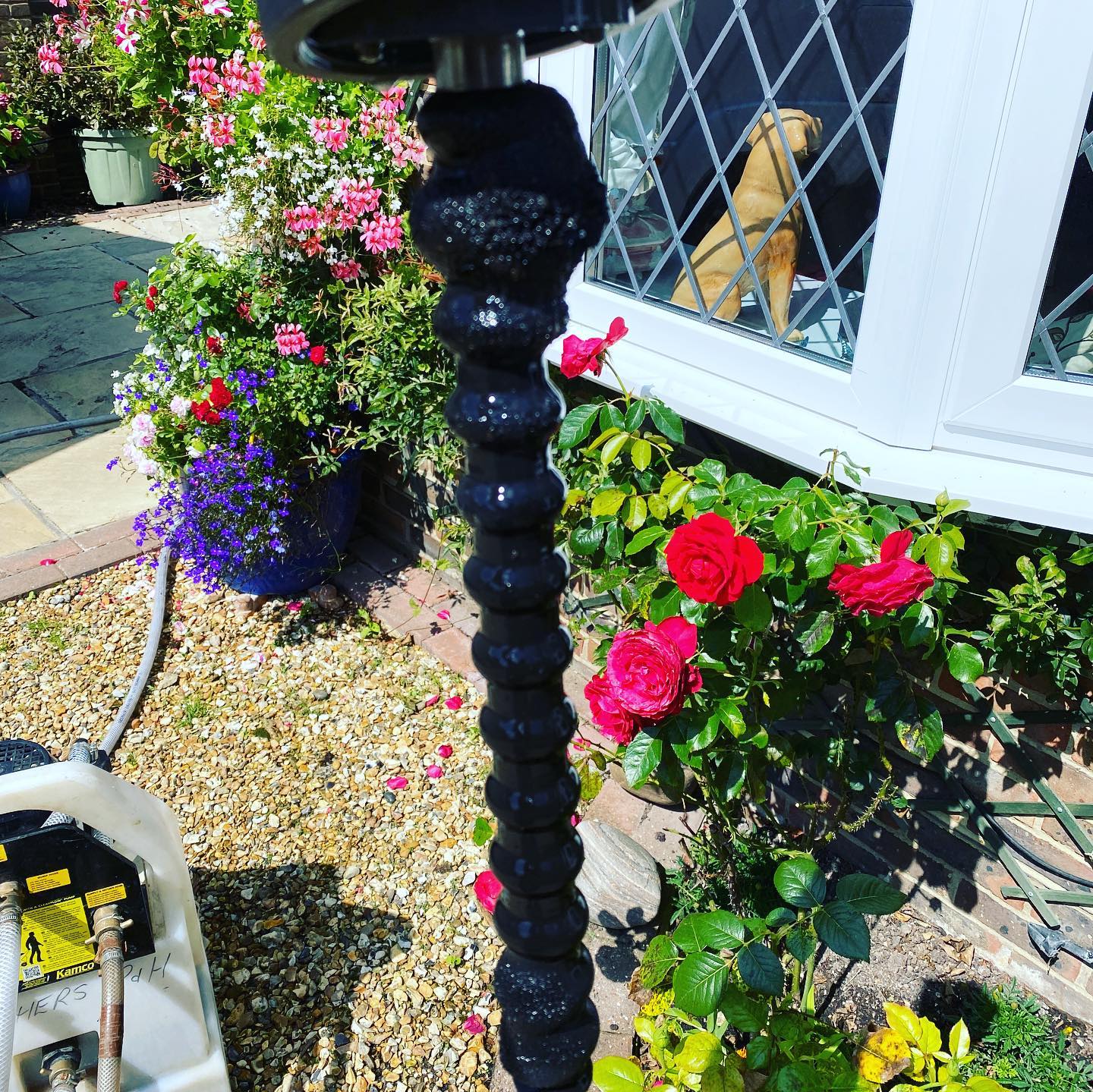 #Kamco #Powerflush today. One very clean heating system all ready for the winter! New #Fernox magnetic sludge filter and #Grundfos heating pump fitting too.
👉Follow @stembridgeplumbing 👋
👉Follow @stembridgeplumbing 👋
❤️Double tap❤️
❤️Double tap❤️
____________________________________
👉 Follow @stembridgeplumbing
👉 Follow @stembridgeplumbing
👉 Follow @stembridgeplumbing
____________________________________
👥 Tag a Friend
🛎 Turn on Post Notifications
👨💻 Save to Look at Later
____________________________________
#plumber #heatingengineer #heating #gas #gasengineer #hotwater #radiator #boiler #service #boilerservice #local #angmering #rustington #eastpreston #arundel #chichester #bognorregis #bathroom #bathroominstallation #gasman