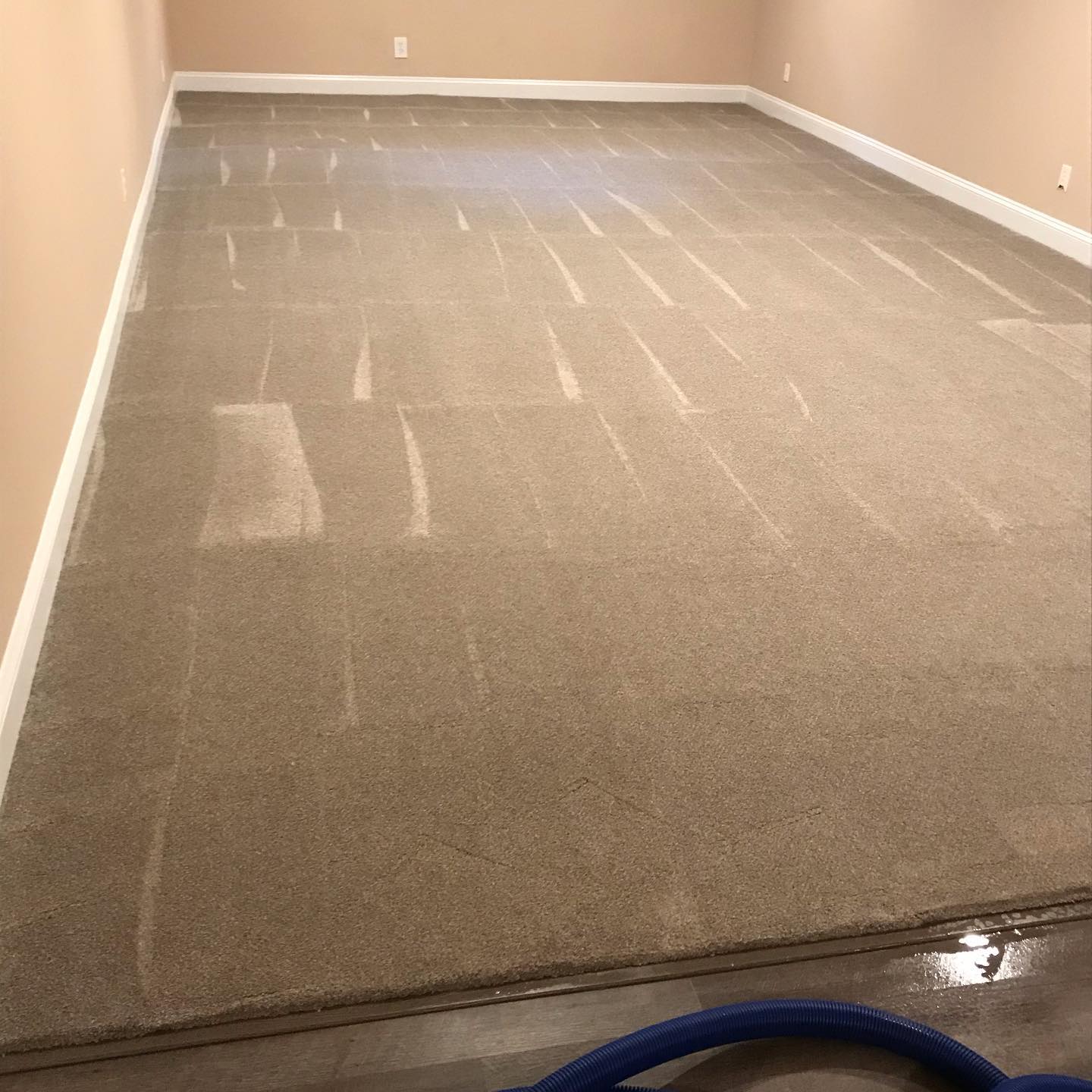 Wine stains cleaning on brand new carpet!