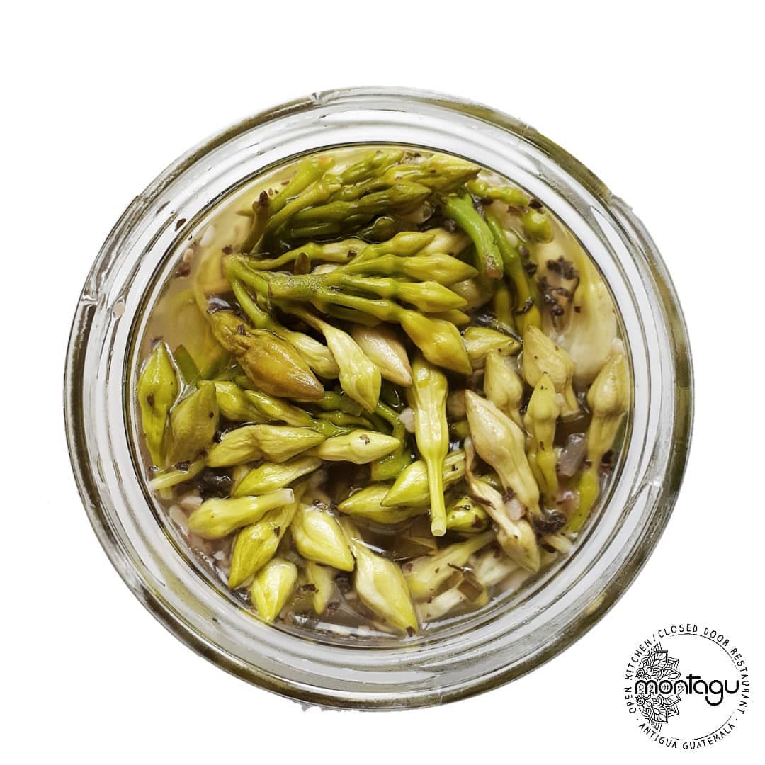 Lorocos encurtidos
#preserves #conservas #encurtidos #jalapeno #pickle #jar #chiles #spicy #guatefood #guatefoodies #guatemala #local #artesanal #caning #honestfood #montagu #antiguaguatemala #soy502 #catalog #delivery #montaguantigua #kitchen #food #veggie #yummy #cookmypassion #online #loveforguate #ordernow