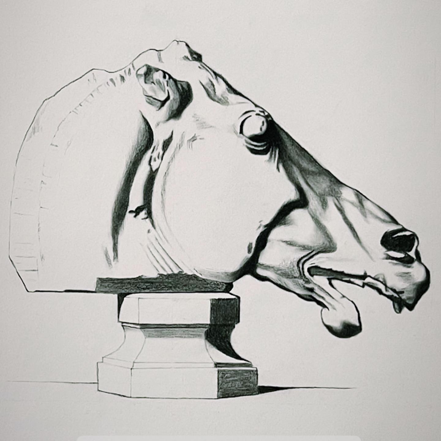 Recent Bargue drawings. A few more to go. Next…my favorite. Faces!! #bargue #barguedrawing #bargueplate #attellier #drawinganatomyandart #drawingsofinstagram #charcoaldrawing #charcoalart #charcoalportrait #horsedrawing #statuedrawing