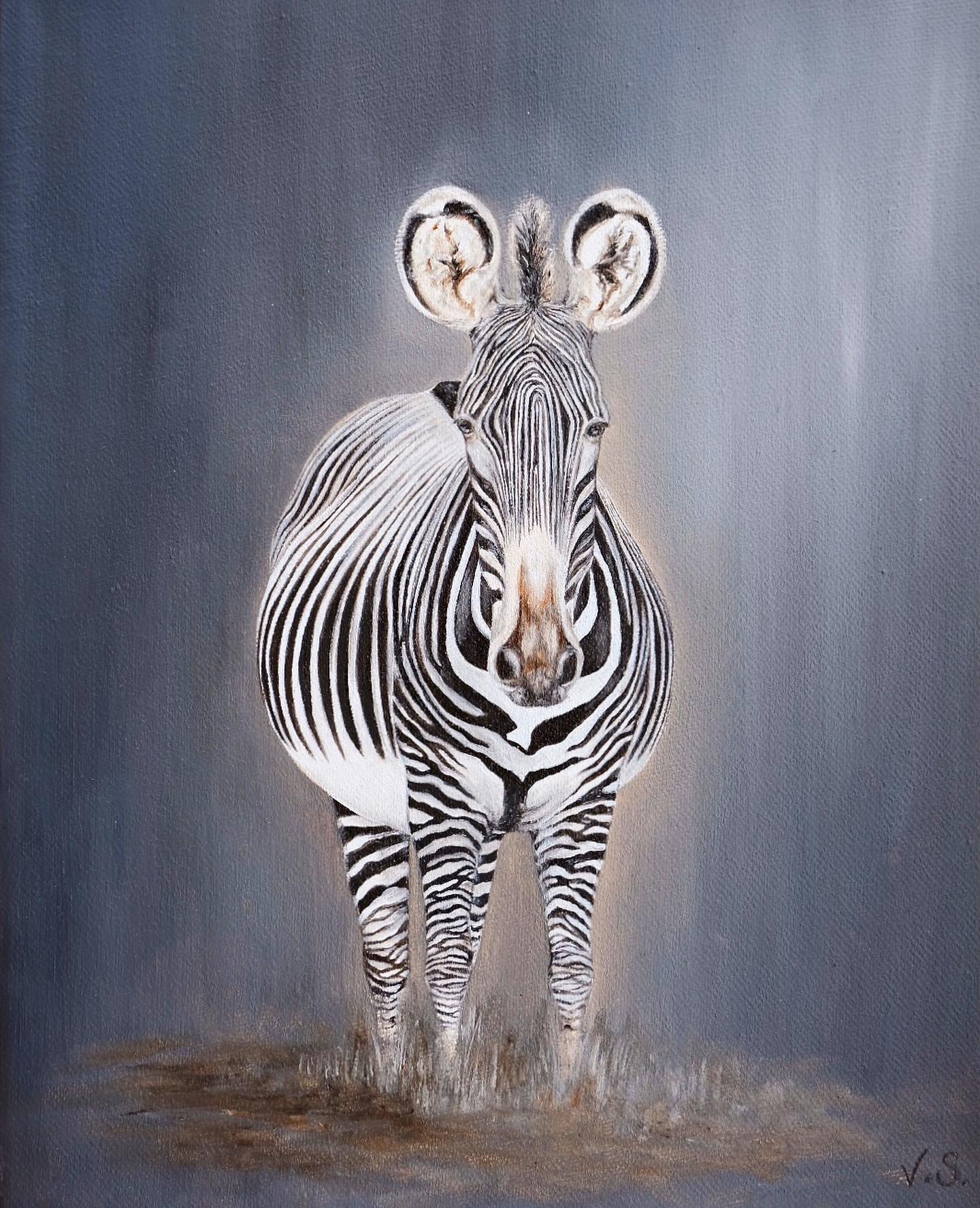‘Look at You’ 🤍
Part one of this two piece creation. Oil on canvas. 30x24cm.
The beautifully intricate Grevy Zebra looking right at you - one of nature’s greatest creations!
Keep a look out for part 2…
X
•
•
•
#grevyszebra #zebra #oilpainting #africa #africawildlife #kenya #kenyawildlife #kenyaart #africanart #wildlifeart #painting #art #artistsoninstagram #definedbytor