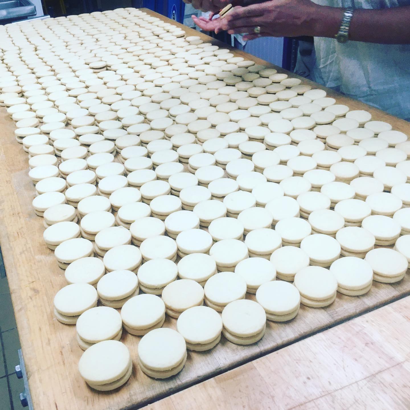 Alfajores getting ready to be showered in powdered sugar and displayed for all of you at our bakery !