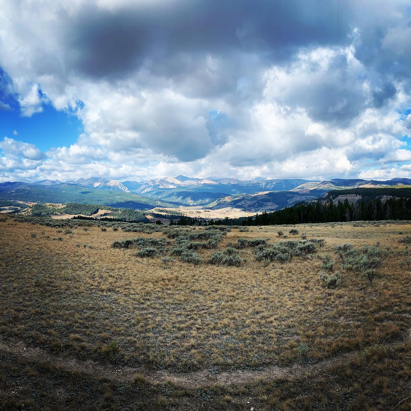 The sky actually is bigger, and the company much sweeter. #bigskycountry