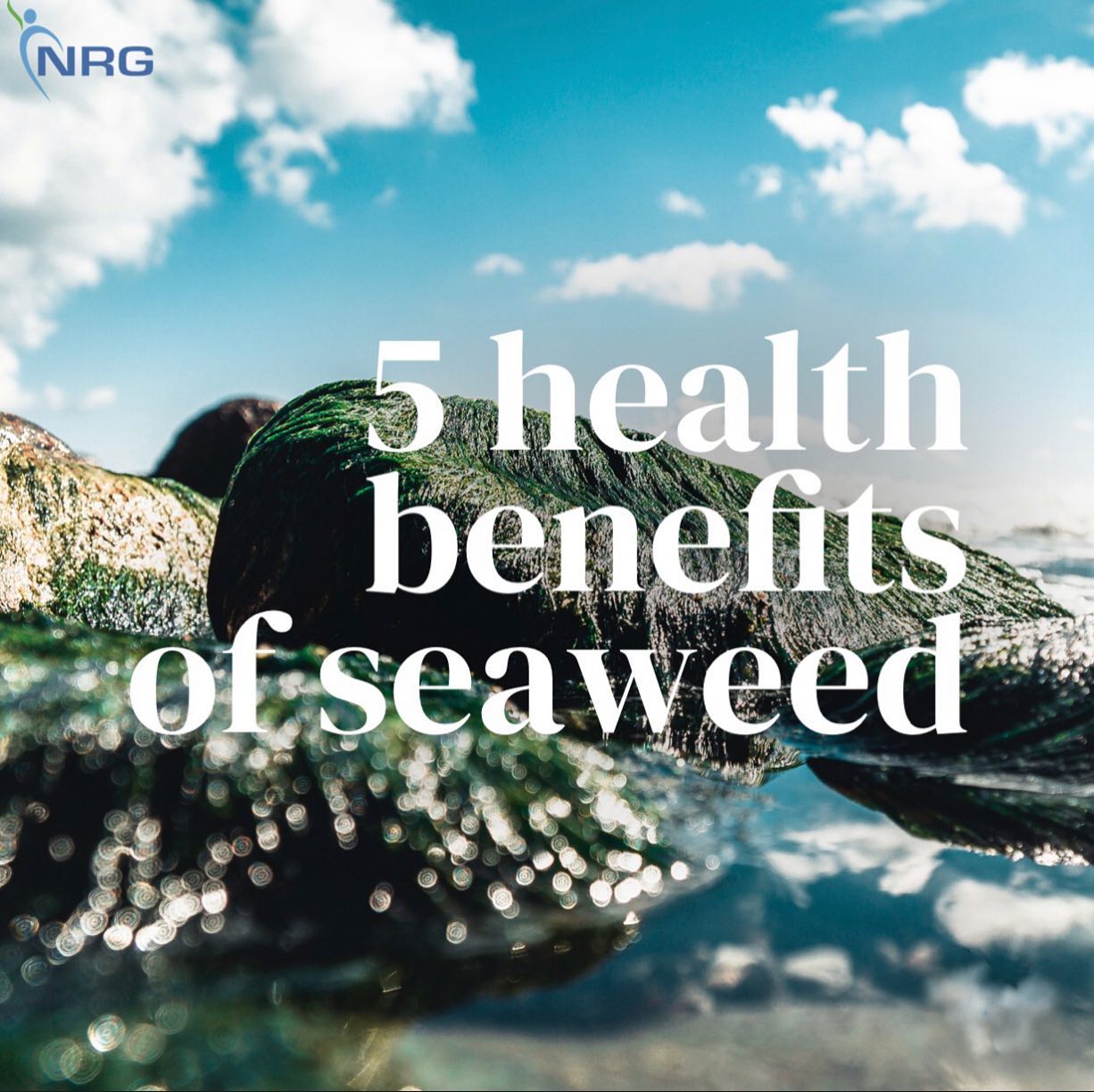 Sea vegetables offer the broadest range of minerals of any food, containing virtually all of the minerals found in the ocean. 🌊
5 health benefits:
🌱 Rich in iodine - important part of the thyroid function an essential precursor for thyroid hormones (hormones that affect every cell in our bodies).
🌱 High in fucan - reduces inflammation in the body.
🌱 Therapeutic levels of folic acid and magnesium - excellent protection for the heart and cardiovascular system.
🌱 High in B vitamins - particularly helpful to those with high levels of life stress and anxiety.
🌱 Finally, foraging is wonderful for the mind and soul and can make for a healthy break from other pass times!
#nrgnutrition #eatwellbewell #sustainableforaging #seaweed #seaweedforaging #seavegetables