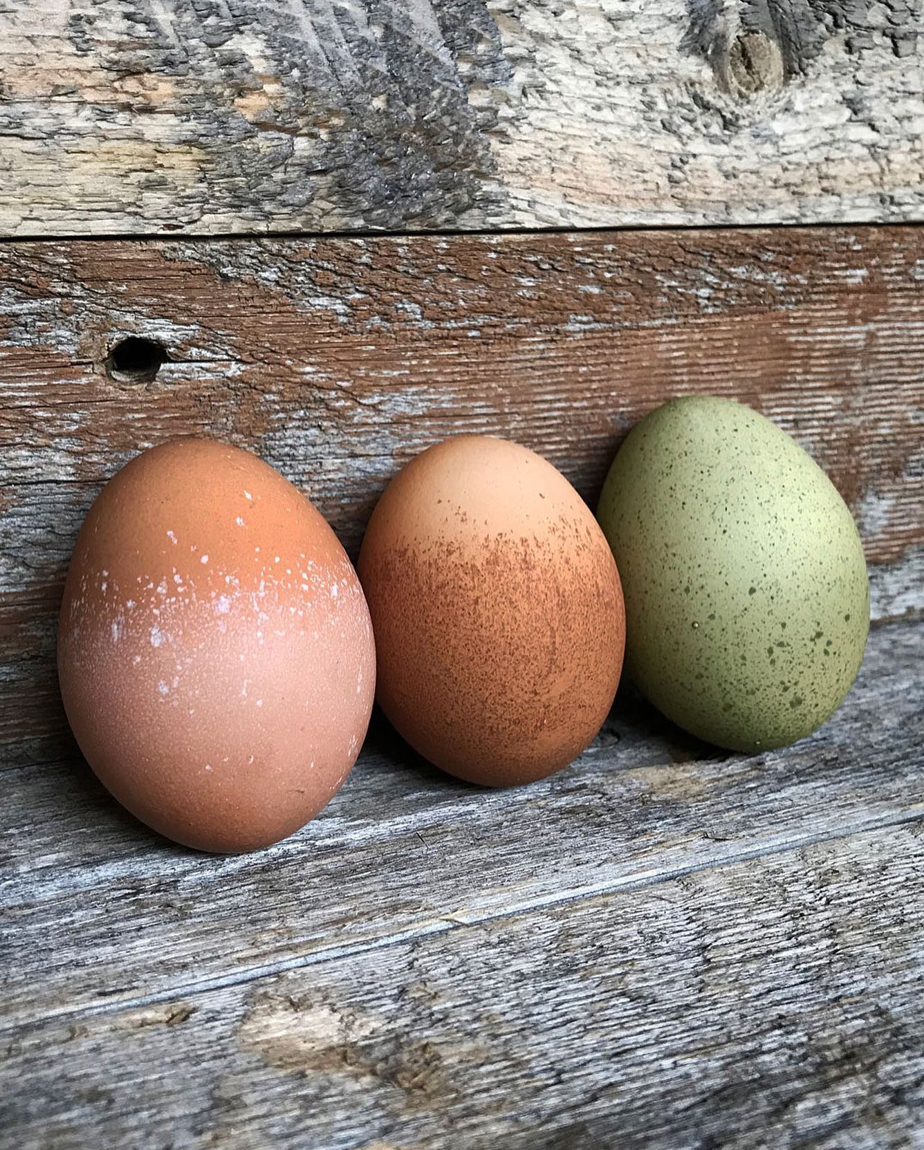 Just for the shell of it!
#speckledeggs #fresheggsdaily #rvalocal