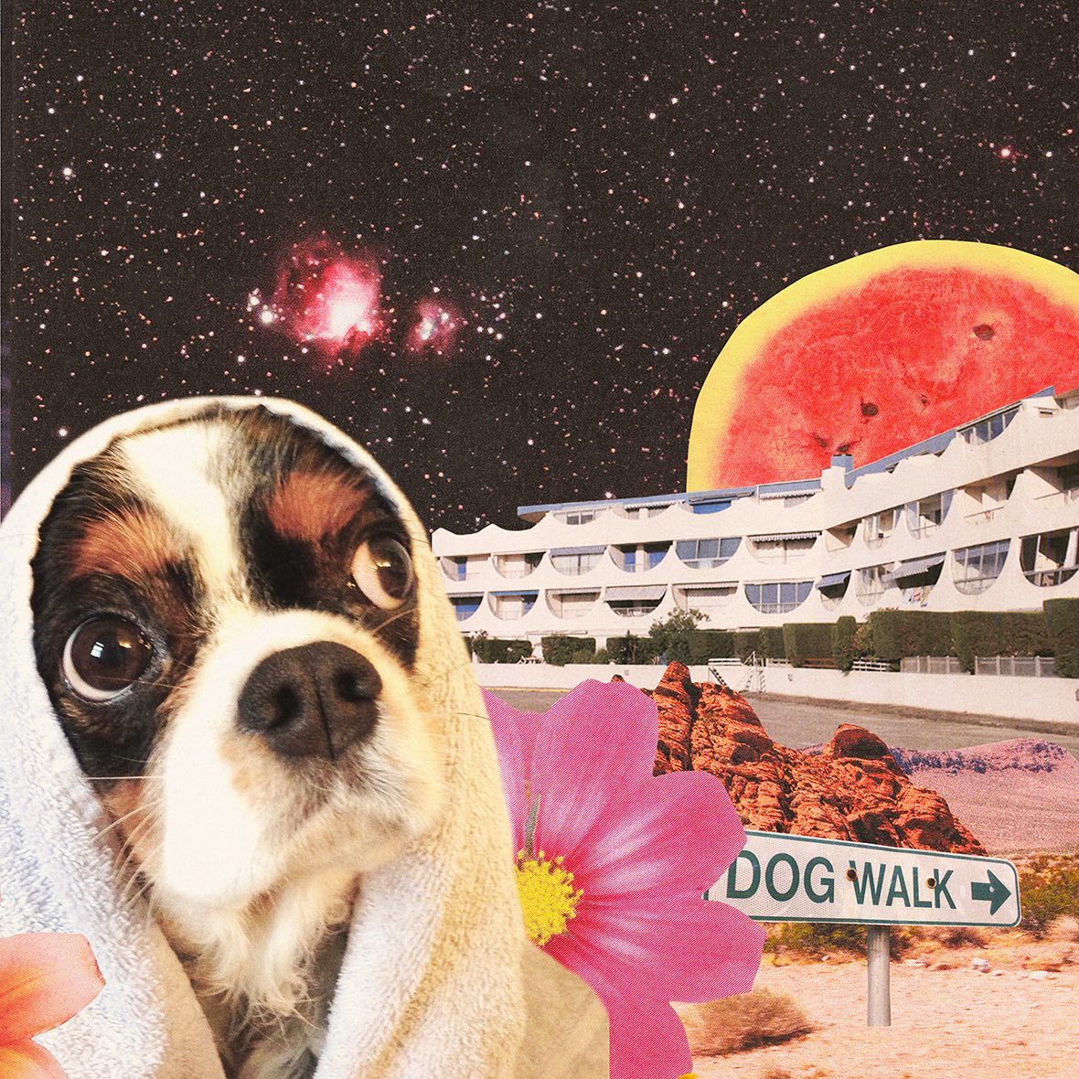 Sehr glücklich schaut sie nicht drein, meine Rosemary… aber im Herbst muss leider ab & an die Wanne her :) wer kennt‘s?
.
#lolabrennt #wild #love #collage #wetdog mehrfarbeimleben #loveitbadly