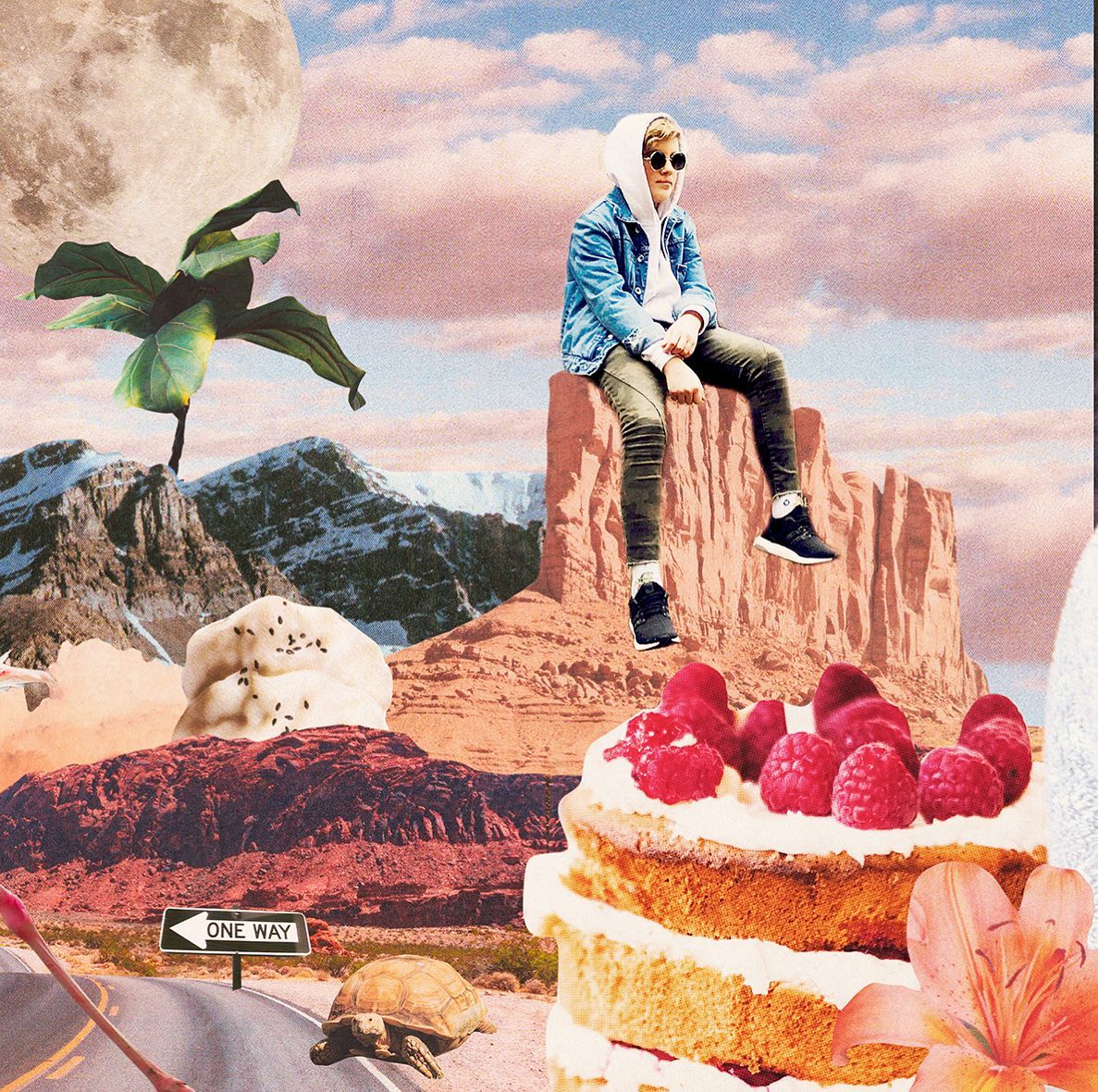 Jugend, Torte & Schildkröte… eine wundervolle Kombination wie ich finde… falls du heute zufällig Geburtstag hast - alles alles Gute :)
.
#lolabrennt #wild #love #collage #mehrfarbeimleben #cakeinthedesert #loveitbadly