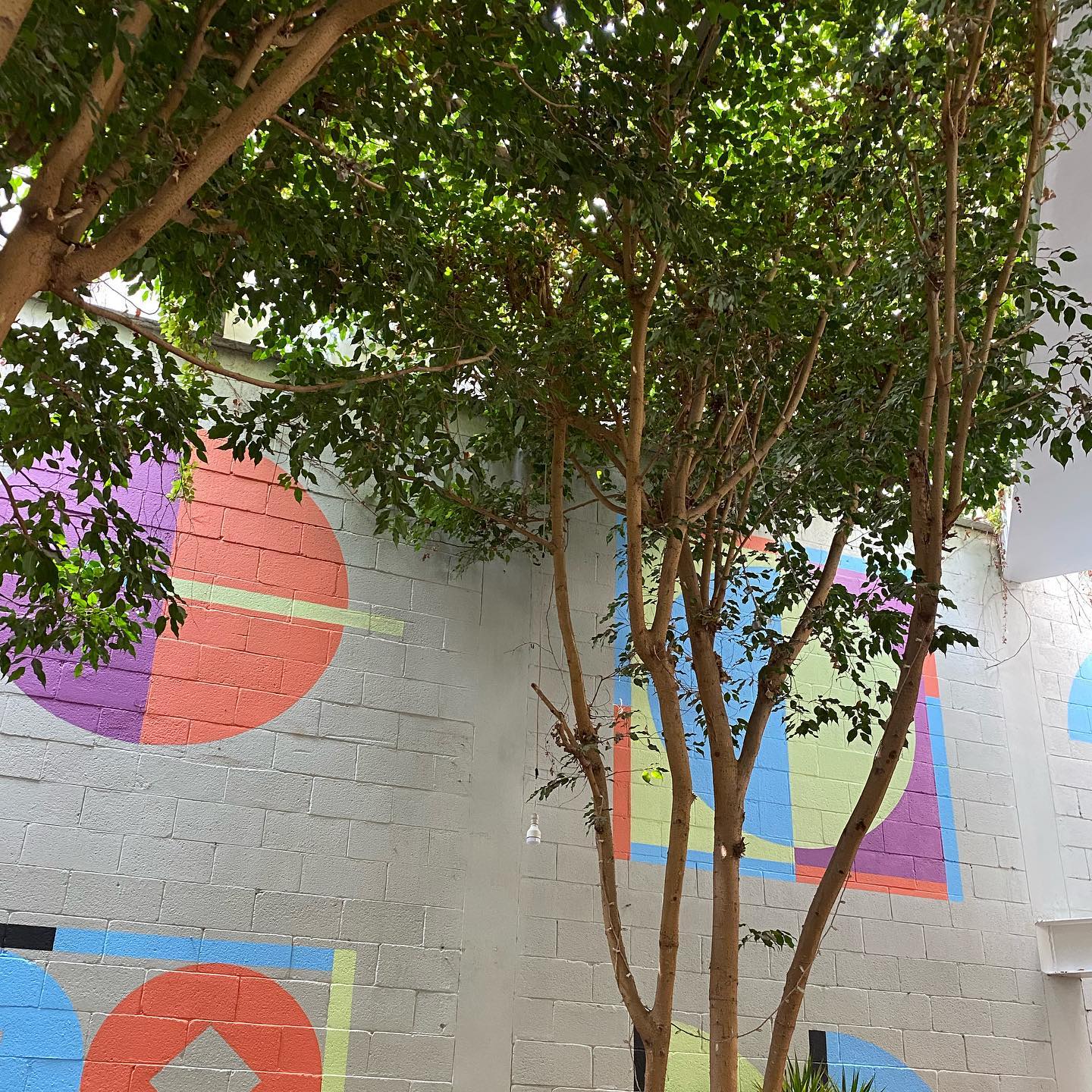 Getting to know a new client look and feel… we sure love it!
.
.
.
#instapic #architecture #interiordesign #construction #colors #newclient #letsmakeithappen #togetherisbetter