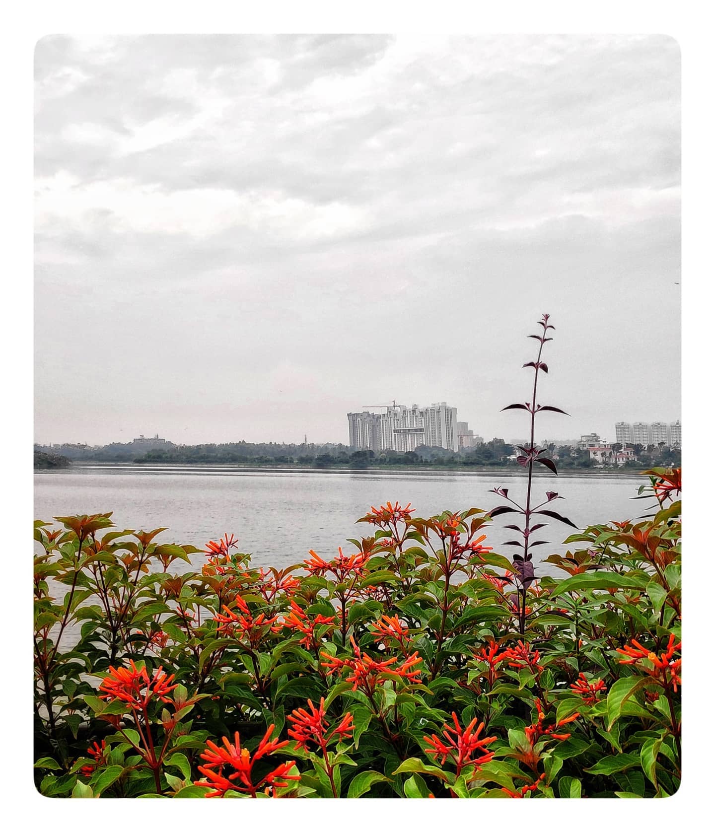 An evening far from the madding crowd...
#lake #nature #photography #landscape
#naturephotography #summer #water #sunset #photooftheday #sky #instagood #beautiful #naturelovers #landscapephotography