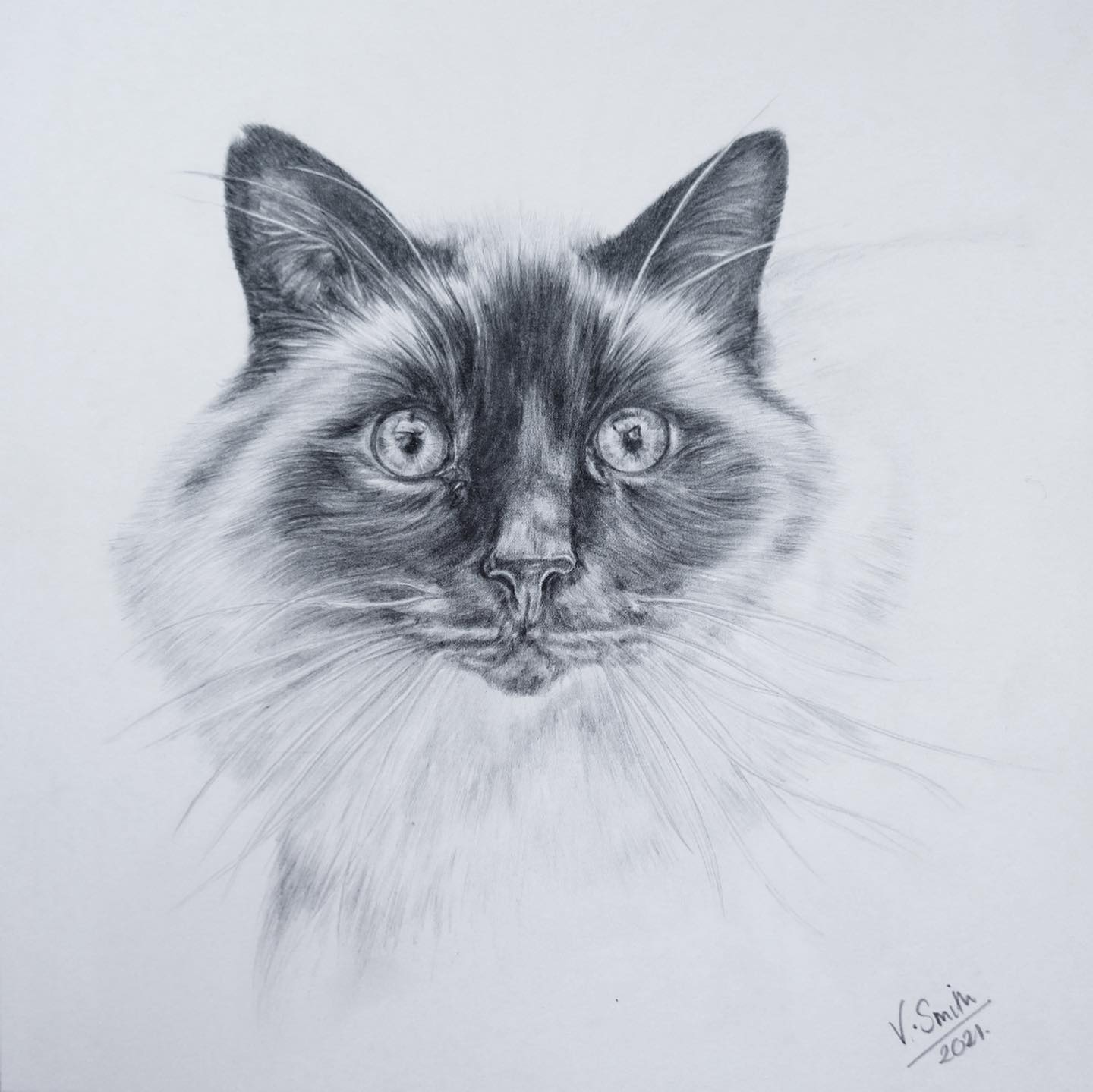 My first attempt at a rather fluffy cat and I love it! Having met this particular cat a number of times this shot really captured his personality and his wide eyes! I should really attempt this in colour so I can get his big blue eyes! I hope my Grandma likes it!!
•
•
•
#cat #catportrait #commission #artcommissions #artist #drawing #definedbytor