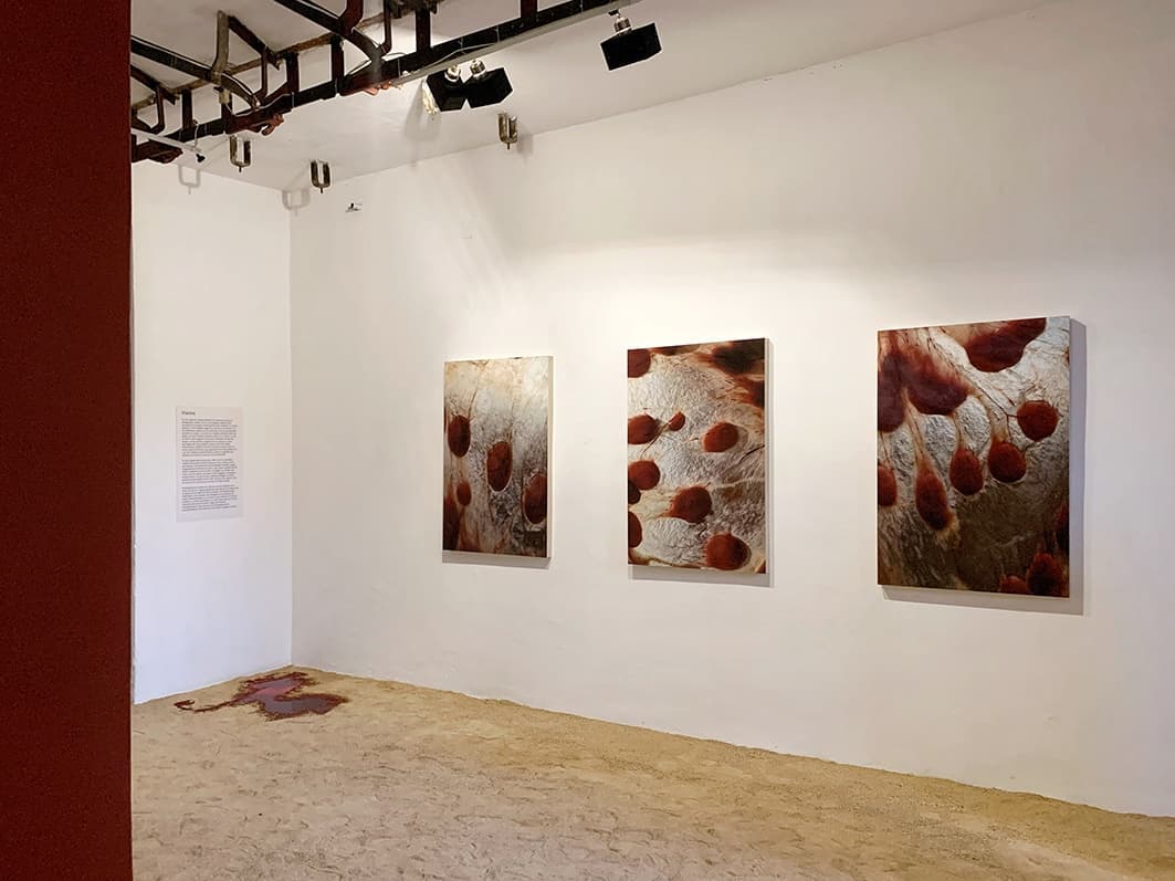 VIENTRE
Exposición de @nadiadelpozo
.
.
Abierto al público de Lunes a Viernes de 10:00 hrs a 14:00 hrs y 16:30 a 19:00 hrs.
#exposiciónfotográfica #exposición #expofotografica #exposicionfotografica #exposición #exhibicionfotografica #exhibición #fotografiaexpo #fotografa #fotografía #oaxaca #oaxacafotos #oaxacaart #oaxacacultural