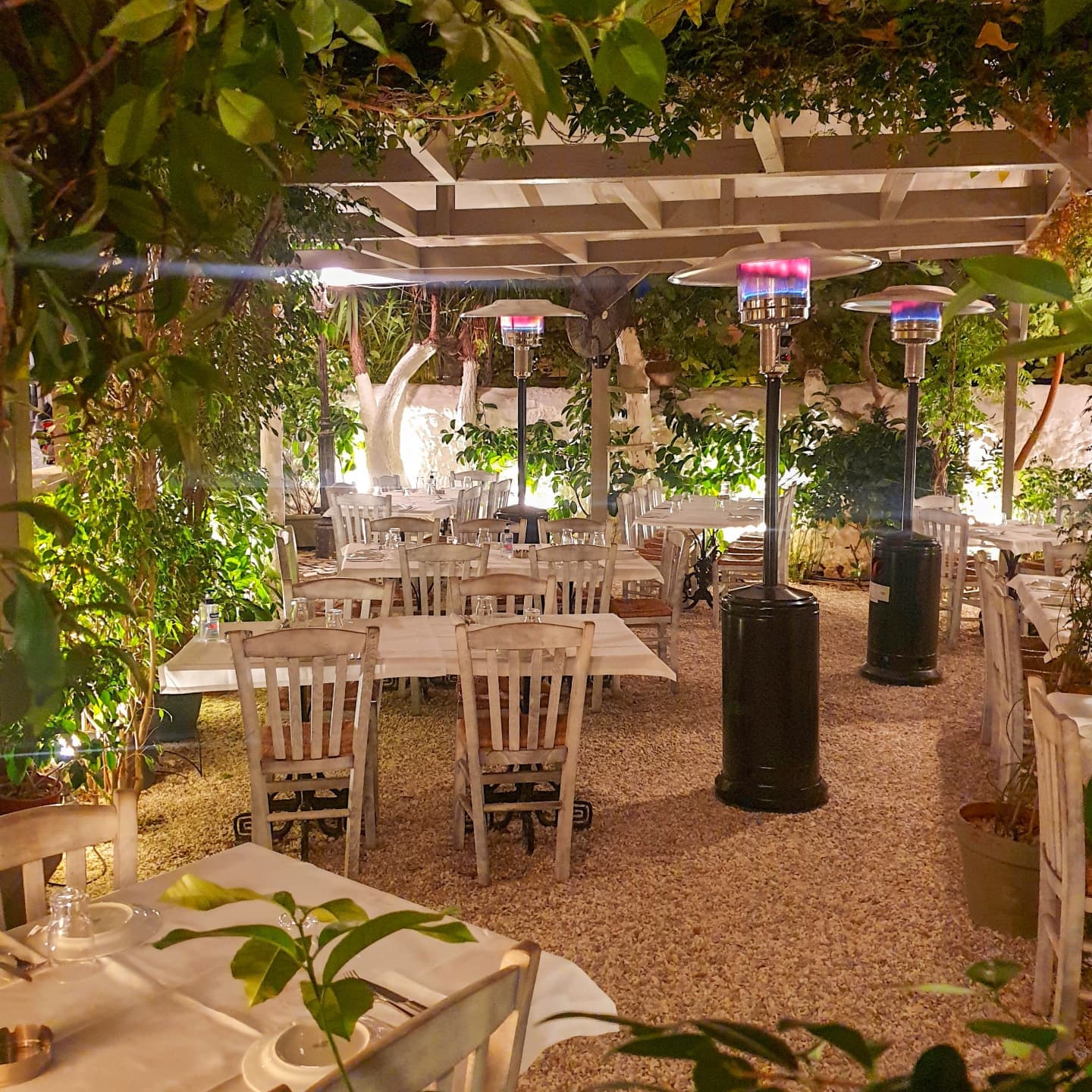#kouvelos #athens #greekcuisine #secretgarden