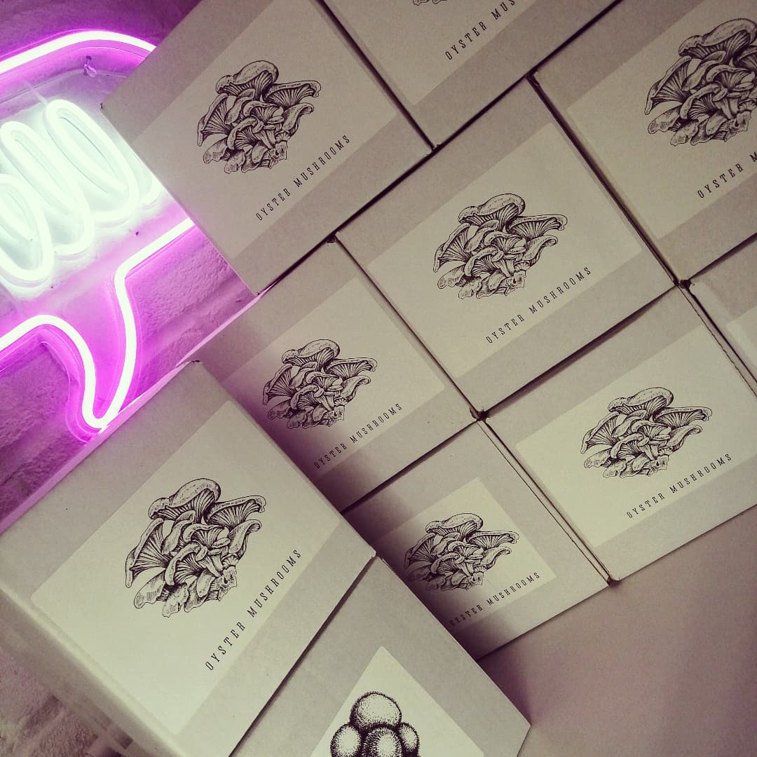 Proud to supply the 'Small Farms Training Group' with 7 kilos of spawn and 10 take home oyster mushroom DIY grow kits for their upcoming mushroom log cultivation class. #mushroomcultivation #oystermushrooms #shiitake #lionsmane #sftg #cultivation #class #mycology #fungi #growyourownfood #mushroomgrowing #smallholding #logcultivation