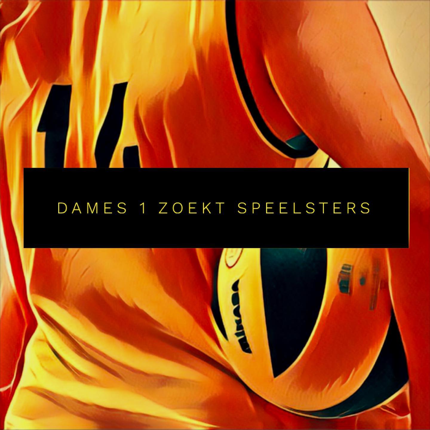 De koninklijke volleybal vereniging Sporting / O.S.S bestaat dit jaar 50 jaar. Tijdens deze periode varieerde het ledenaantal nogal. De vereniging bestond in het verleden uit volledige heren, dames en jeugd afdelingen. De laatste jaren heeft de vereniging met één heren team competitie gespeeld. Met vernieuwde energie en enthousiaste leden wil Sporting weer groeien. Een groep (jonge) vrouwen is na een zomer beach volleyballen enthousiast geworden en wilt het volleyballen in de zaal gaan doorzetten. Op donderdag 11 november om 19.30 starten we met de eerste training in de Korverhal. We zoeken nog extra dames om het team compleet te maken.
Lijkt het je leuk om mee te doen? Kom gerust kijken of een paar keer proef trainen.
Ook bij de heren willen we graag de komende jaren door groeien naar meer teams. Ook hier is het mogelijk om aan de trainingen mee te doen.
Aanmelden of meer informatie aanvragen kan via sportingzandvoort@gmail.com.