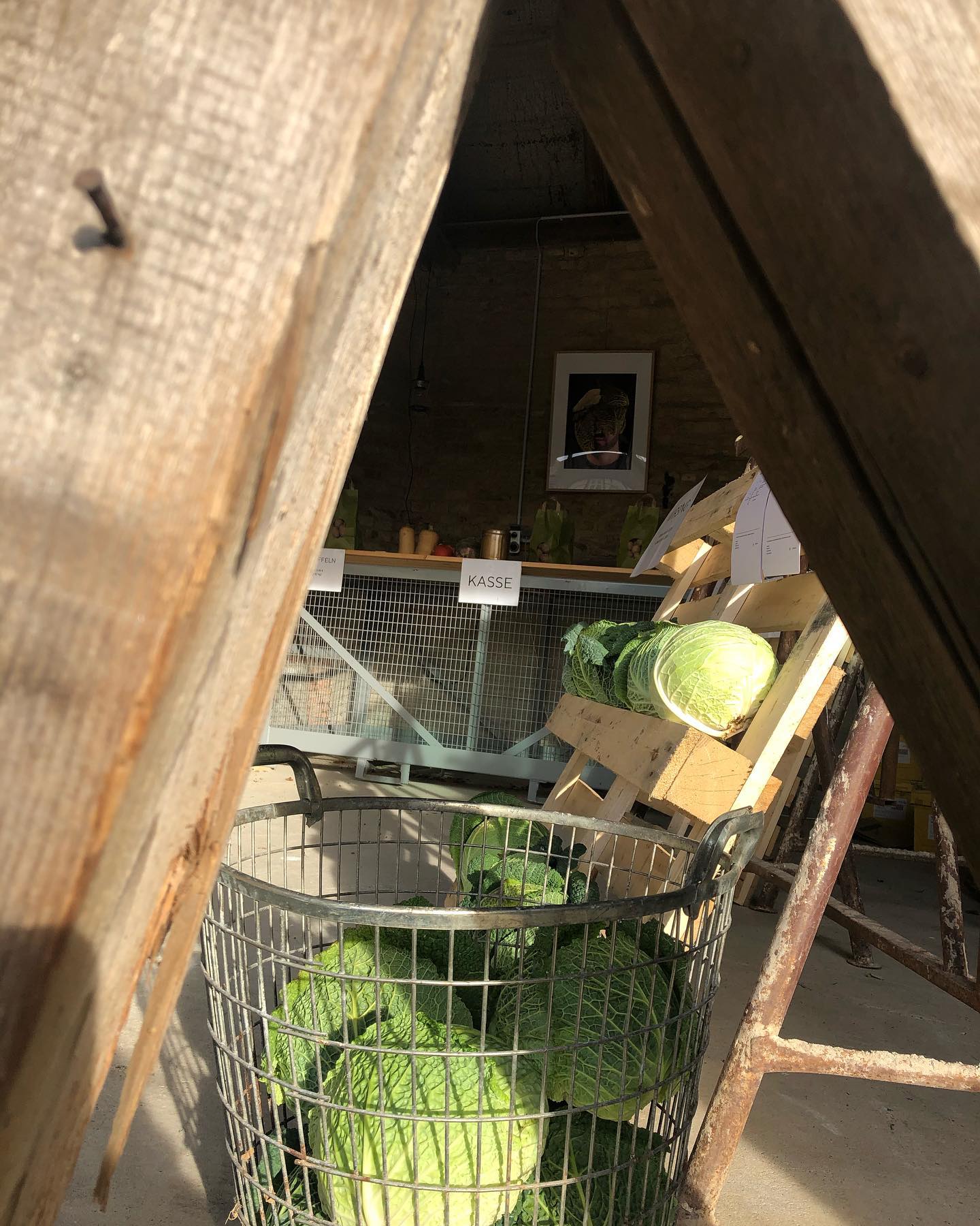 #abhofverkauf #kohlhunger #ausprobieren #neuerezepte #wirsing #steckrübe #regional #saisonal | Hat jemand Hunger auf Kohl? Auf Kohlrouladen oder Steckrübeneintopf? Bei uns bekommt ihr Wirsing und Steckrüben frisch vom Feld! Und wenn ihr mal keine Lust auf die Klassiker habt: wir haben auch ein paar besondere Rezepte für euch bereit gelegt!
—> Ritterstraße 63, 31174 Garmissen!