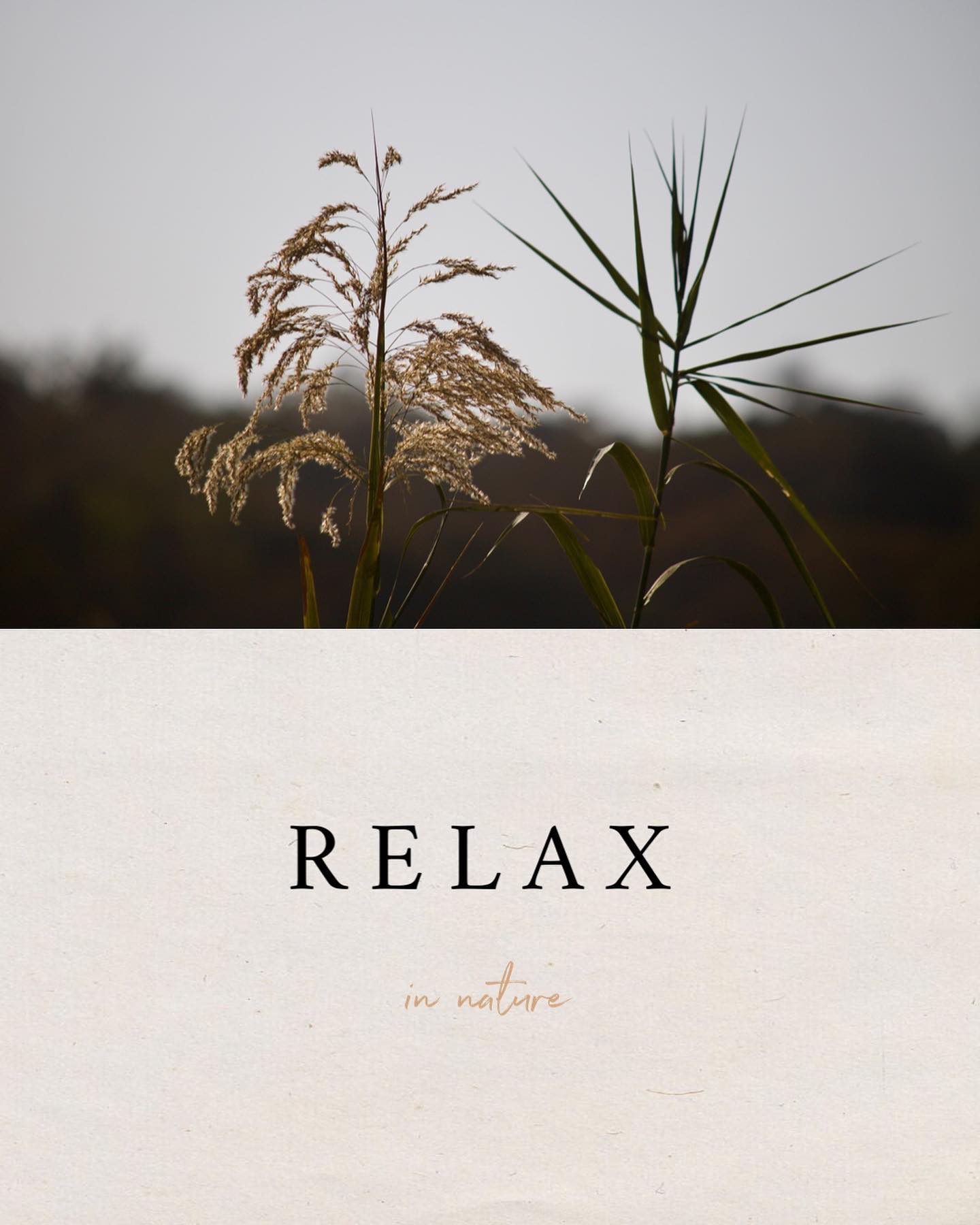 RELAX in nature while enjoying the wonders of the African bush, UNWIND by the campfire during the evenings & REJUVENATE the senses during your break from the city.
Book with us today at one of our luxury lodges and experience your own wonderful experience.
Your exciting safari adventure awaits!
Sebaka is a Fully-Halaal Muslim establishment and therefore does not sell or allow alcohol on the property.
A minimum 2-night stay required at all lodges. Peak periods require a minimum 3-night stay.
Visit our website (link in bio) for more information regarding what it is that we offer.
Call / WhatsApp for bookings and enquiries, WhatsApp only after hours:
Ridwaan - 0823095045
Office hours for bookings and enquiries:
Monday to Friday
08h00 - 17h00
Saturday to Sunday
09h00 - 14h00
#safari #adventure #southafrica #gamereserve #captureadventure #travel #safarilife #mpumalanga #sebakagamelodge #fullyhalaal #halaal #halal #halaltravel #halalfood #luxurysafari #safariadventure #gamedrive #photography #relax #unwind #rejuvenate #campfire #exploresouthafrica #explore