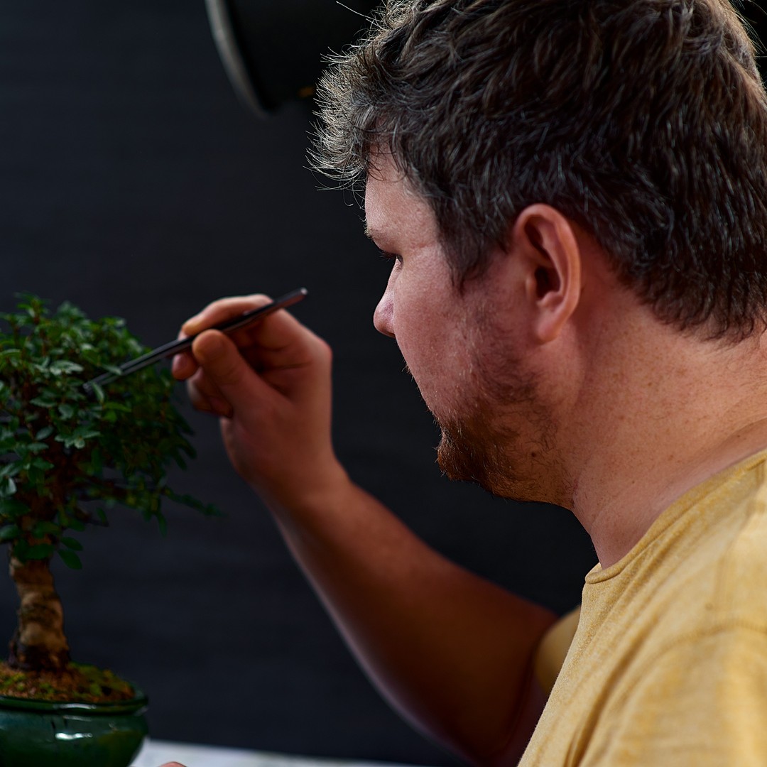 Get to grips with the finer branching.