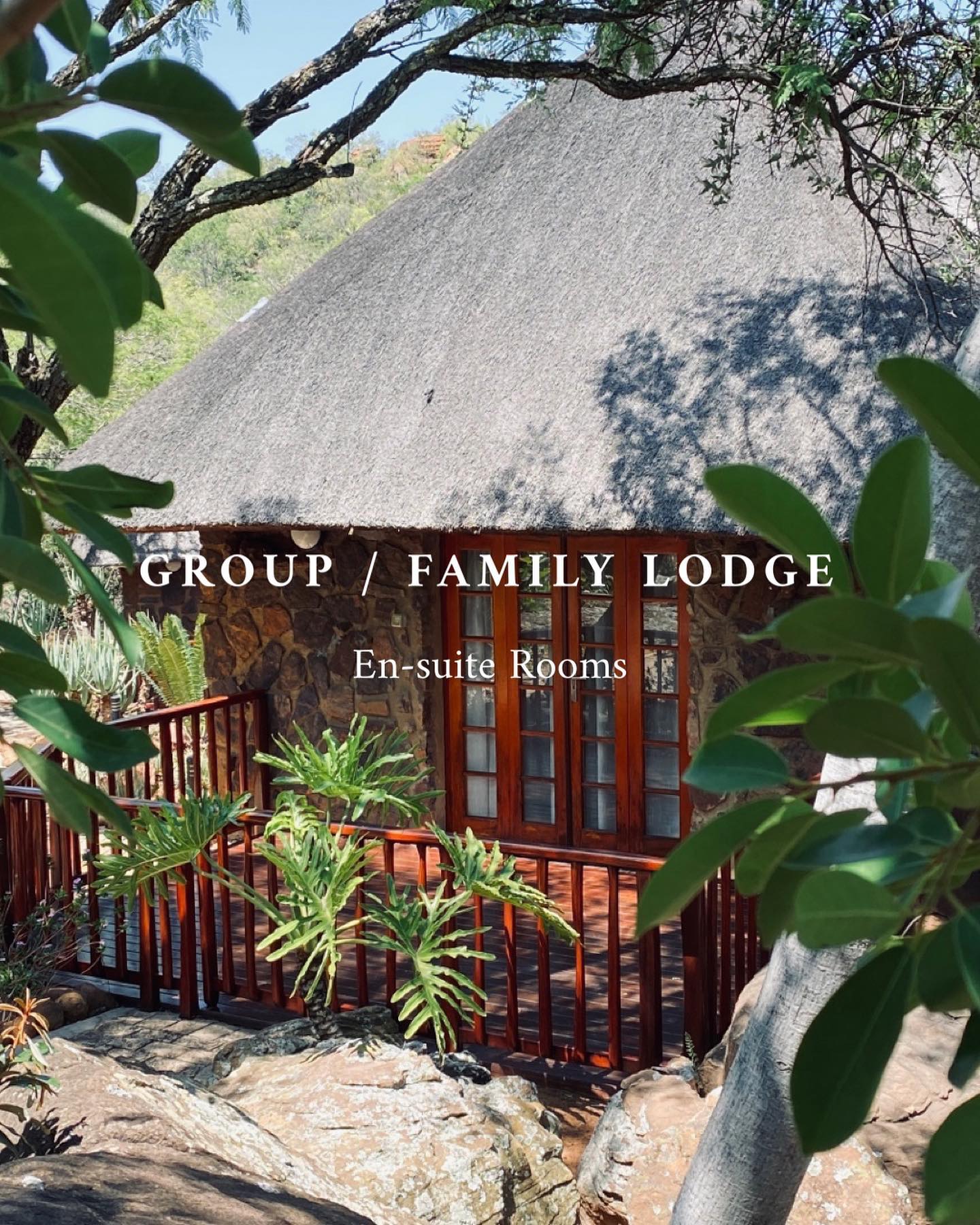 We have 10 Luxurious en-suite rooms at our GROUP/FAMILY LODGE.
Each room has 2 Beds + Bathroom and air conditioning. Lodge facilities are centralised and include a indoor heated swimming pool, outdoor and indoor seating and dinning areas, boma area, games rooms and more…
Exclusive lodge hire - the Group/Family Lodge is hired out as a full lodge + all facilities.
Included in the package for Group/Family Lodge:
• Accommodation
• Breakfast, Lunch and Supper
• Drinks (water, soda, tea, coffee)
• Daily Safari drives
• Tour/s of Predator park
• Hiking (weather permitting)
• Use of Dam Area (weather permitting)
Packages for this lodge are tailor to group size as well as amount of nights. Contact our head office (details below) for a quote.
Book with us today at one of our luxury lodges and experience your own wonderful experience.
Your exciting safari adventure awaits!
Sebaka is a Fully-Halaal Muslim establishment and therefore does not sell or allow alcohol on the property.
A minimum 2-night stay required at all lodges. Peak periods require a minimum 3-night stay.
Visit our website (link in bio) for more information regarding what it is that we offer.
Call / WhatsApp for bookings and enquiries, WhatsApp only after hours:
Ridwaan - 0823095045
Office hours for bookings and enquiries:
Monday to Friday
08h00 - 17h00
Saturday to Sunday
09h00 - 14h00
#safari #adventure #southafrica #gamereserve #captureadventure #travel #safarilife #mpumalanga #sebakagamelodge #fullyhalaal #halaal #halal #halaltravel #halalfood #luxurysafari #safariadventure #gamedrive #photography #relax #unwind #rejuvenate #campfire #exploresouthafrica #explore #familylodge #grouplodge #familytime #confortsafari