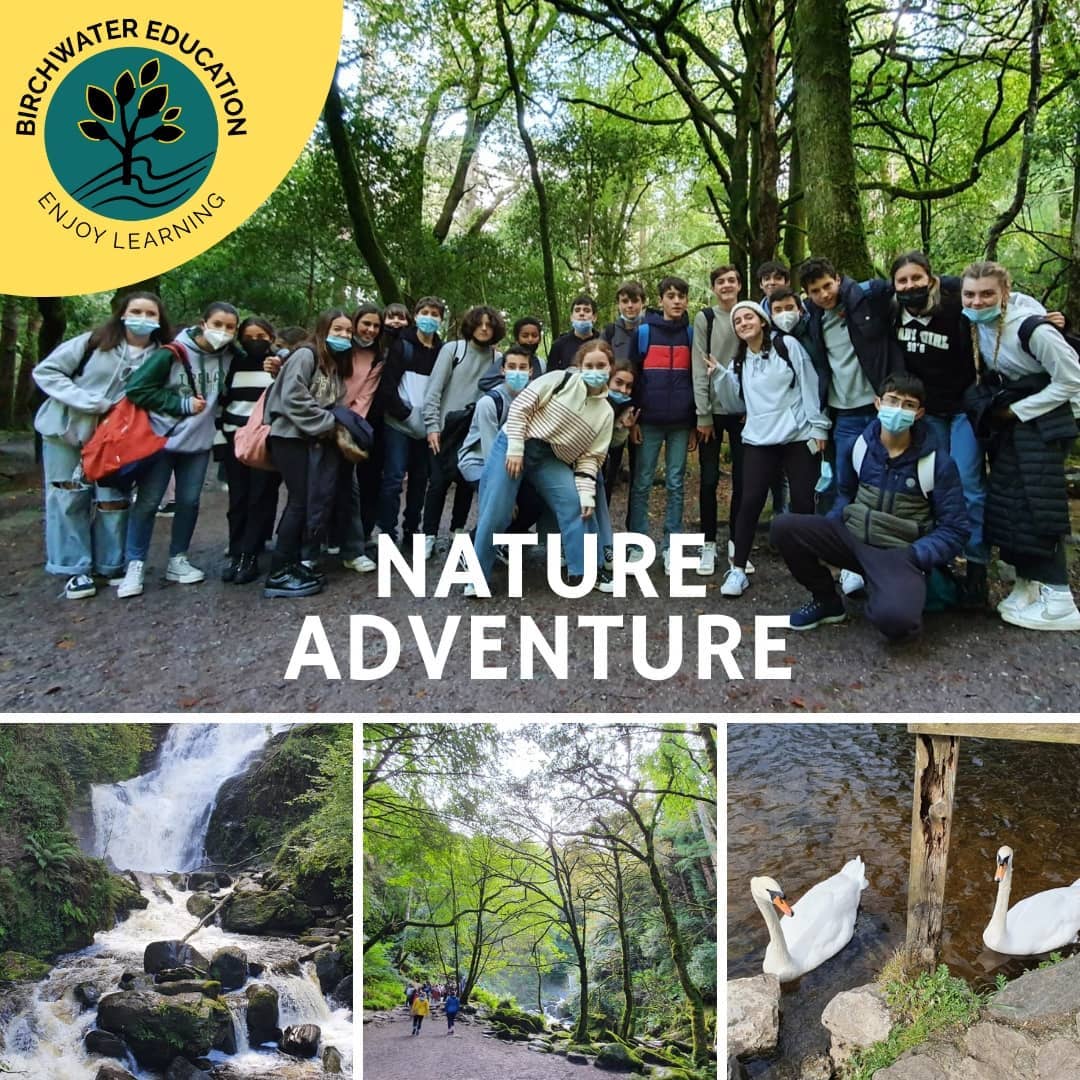 Our secondary school placement students taking some time out from their studies with a beautiful nature walk in Kilarney National Park.
#irelandtravel #nature #studyinireland