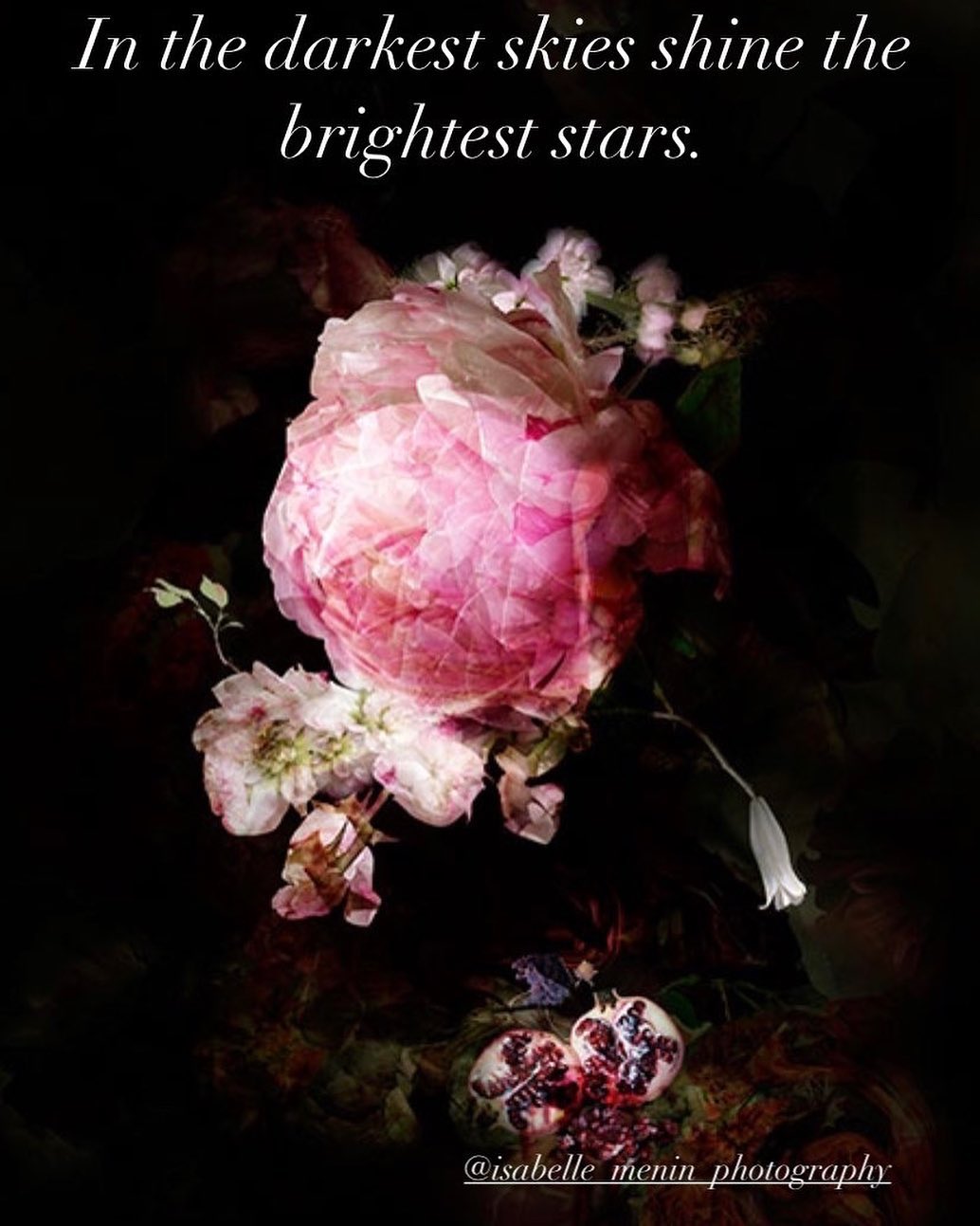 Today’s mood. I’d like to hide right behind that gorgeous rose. This is one of my favorite artists @isabelle_menin_photography Her talent moves me every single day. Thank you for creating! ❤️(I added the text)