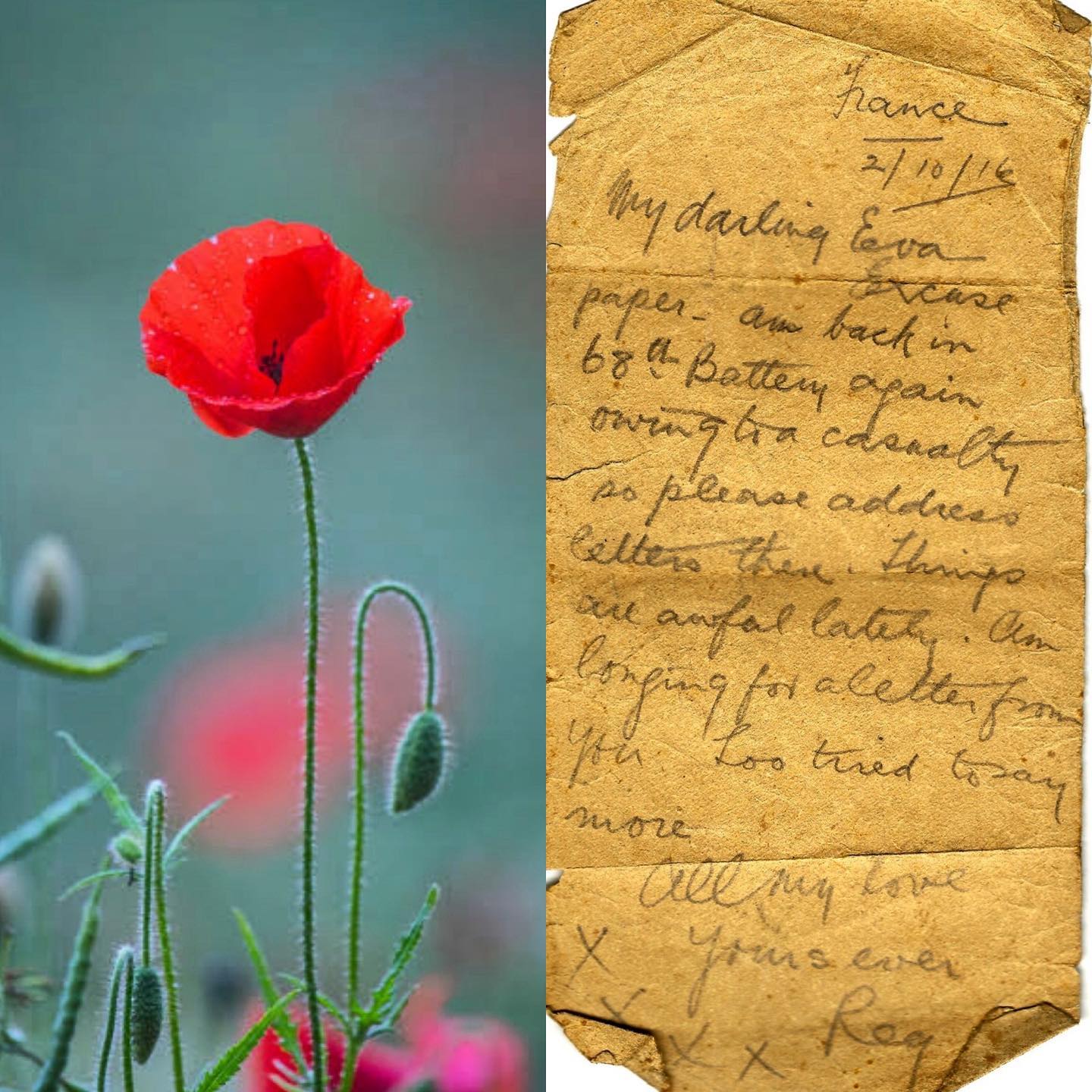 A letter from my grandfather to my grandmother. He was one of the lucky who survived. #lestweforget 🌹