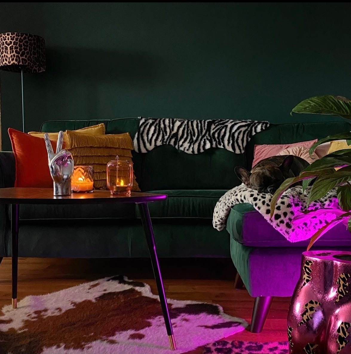 "Your copy is spot on. I absolutely love it. Each blog reads like a little story and your expertise in interiors shines through. The blogs are great resources for our customers and integrate into our company tone of voice perfectly."
Helen Saxton
Head of Marketing, COAT Paints
So chuffed to receive this pat on the back from one of my wonderful clients @coatpaints They're such a great brand built on solid, ethical foundations. And the team are a delight to work with 👏
It's been lovely to have had the opportunity to join their content team fairly early on. It means I've been able to see them going from strength to strength in the decorating world!
Read about the 'Top Interiors Trends For 2022' in one of the latest blogs I've written for COAT Paints. My favourite trend is 'Optimistic Maximalism'. Because we could all do with starting the New Year on an optimistic footing, right? 🙌
Link in bio ⬆️
📷 @inside.number.twelve
Wall colour = Ditch The Tie from @coatpaints
#interiorswriter #propertywriter #copywriter #interiorsjournalist #contentwriter #copywriting #interiorscopywriter #blogwriter #interiordesign #designinspo #interiorinspo #interiors #luxuryinteriordesign #homeinteriors #homeinspiration #colourmyworld #mycolourfulhome #colourmyhome #boldinteriors #colourpop