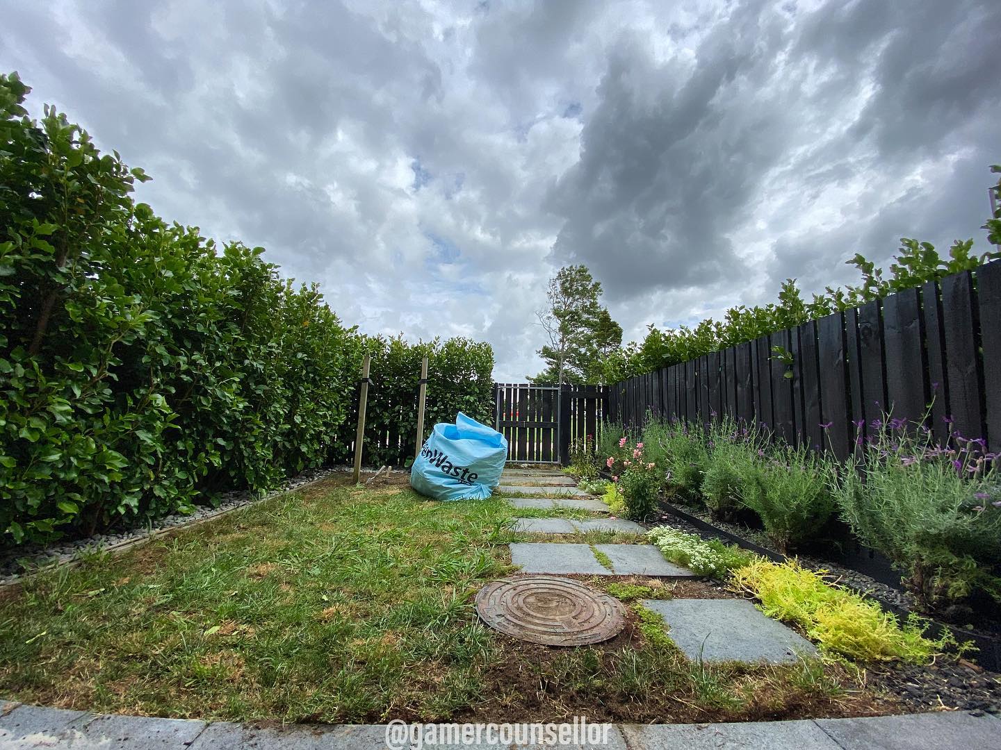 A few of the many attractions of video games are the ability to be immersed yourself in the world, sense of achievement and the feeling seeing progress in games.
Gardening has the similar benefits too! My wife and I have been spending most of our Saturday pruning the shrubs, replacing barks with pebbles and de-weeding the lawn. Even though it is still work in progress, I can definitely feel a sense of achievement from the state that it was before we started working on it. It was definitely an immersive experience too after a long stressful week. Additional benefit? Physical activity!
So, gamers, what are the other activities in real physical life that you all engage in when you are not in the fantasy world?
Follow @gamer.counsellor for more posts on the journey of life from the lens of a counsellor, Christian, psych graduate and a gamer.
#mentalhealthnz #gamercounsellor #wellbeing #wellbeingnz #geektherapist #geektherapy #gardening #reallife