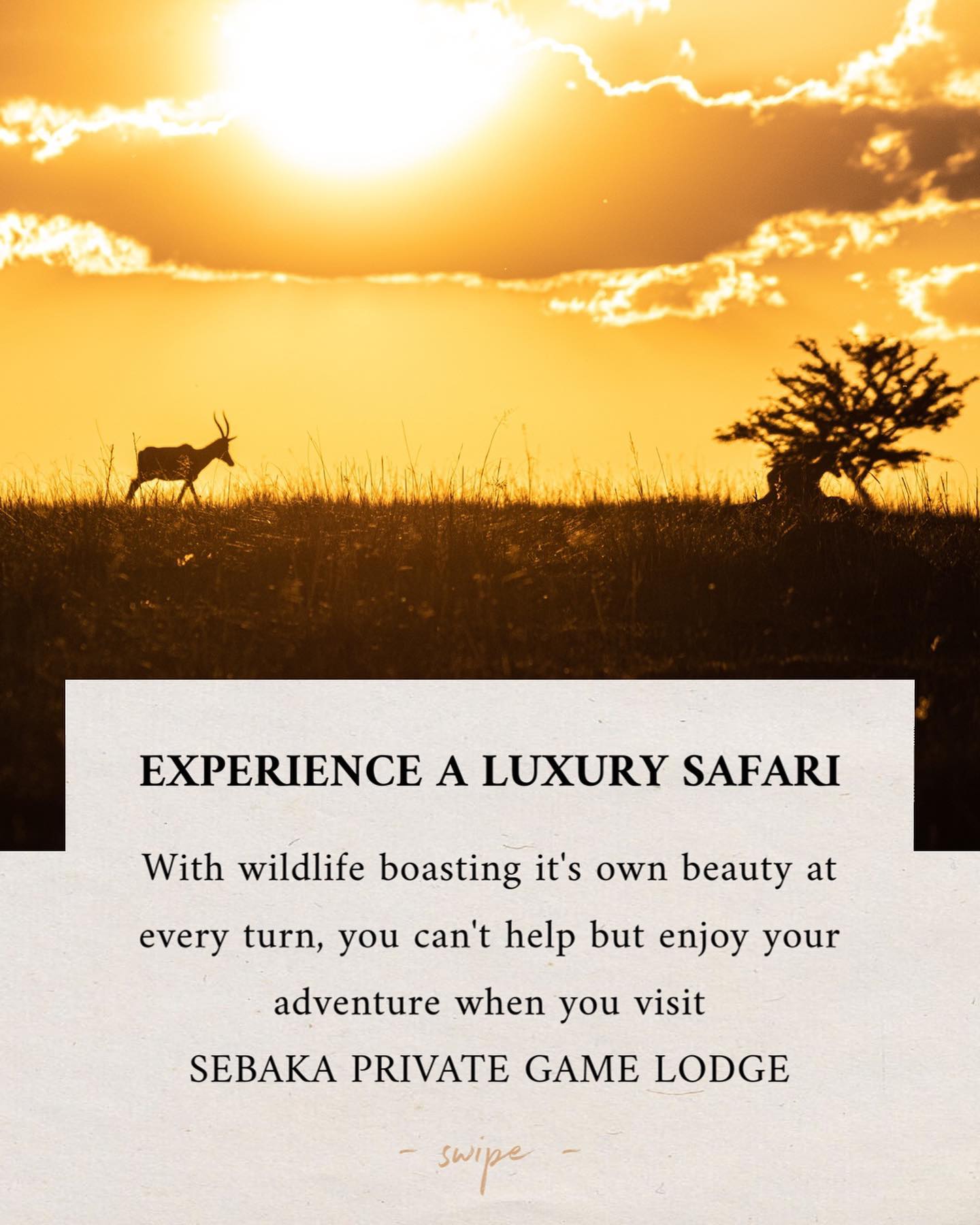 Experience a Luxury Safari
Sebaka is a Fully-Halaal Muslim establishment and therefore does not sell or allow alcohol on the property.
A minimum 2-night stay required at all lodges. Peak periods require a minimum 3-night stay.
Visit our website (link in bio) for more information regarding what it is that we offer.
Call / WhatsApp for bookings and enquiries, WhatsApp only after hours:
Ridwaan - 0823095045
Office hours for bookings and enquiries:
Monday to Friday
08h00 - 17h00
Saturday to Sunday
09h00 - 14h00
#safari #adventure #southafrica #gamereserve #captureadventure #travel #safarilife #mpumalanga #sebakagamelodge #fullyhalaal #halaal #halal #halaltravel #halalfood #luxurysafari #safariadventure #gamedrive #photography #relax #unwind #rejuvenate #campfire #exploresouthafrica #explore