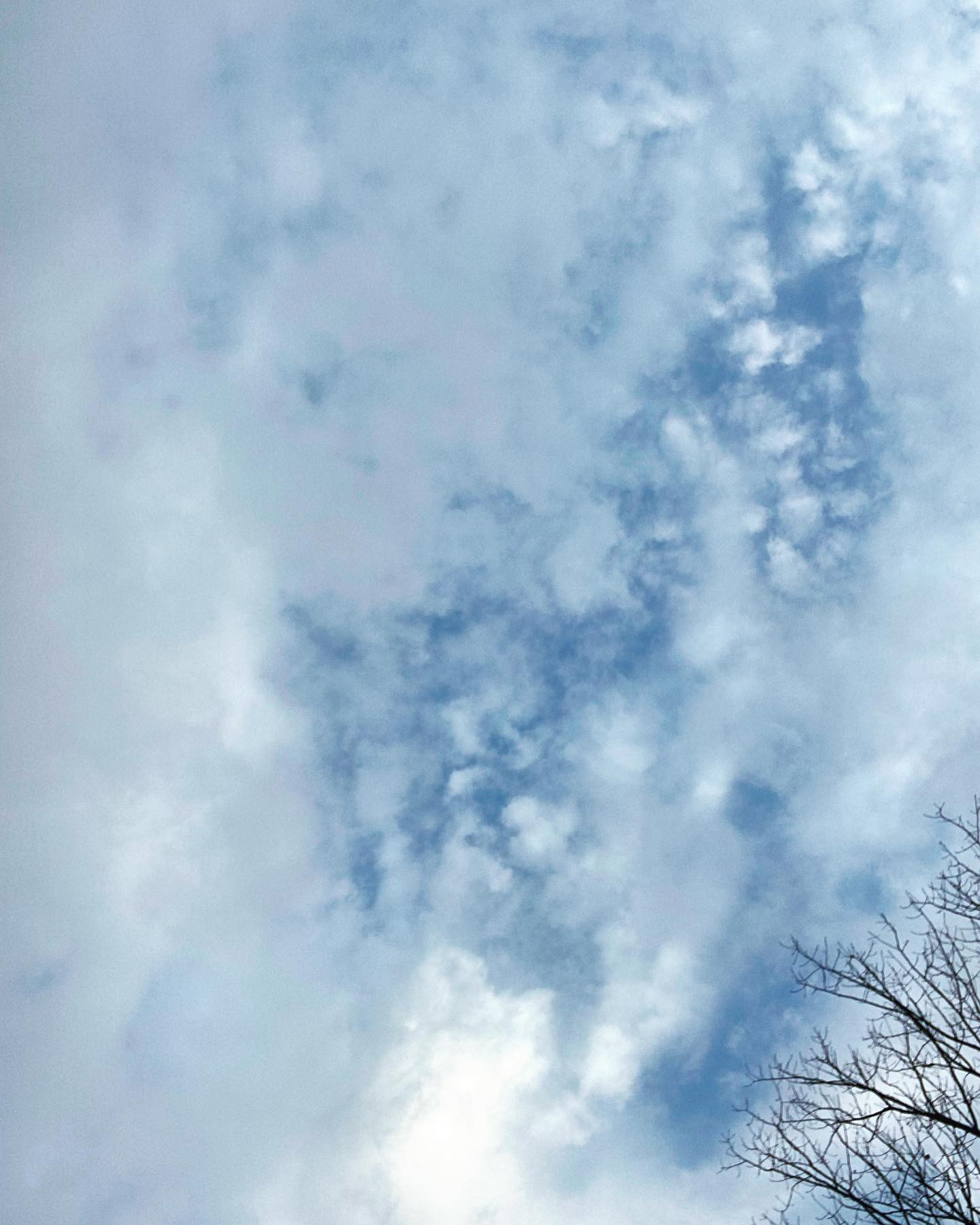 Perspective
🎶 Whatever it is I think I see becomes a 🐎 to me! 🎶
I was feeding my horses last week, taking pictures of the beautiful morning when I accidentally took a picture of the sky. That happens when you’re trying to take pictures with your phone, and lead several horses out of the barn at the same time. 🤪
When I went back and looked through the pictures, an image in the clouds immediately jumped out at me. I’m not gonna lie, I spent a lot of time in school daydreaming, looking out the window, looking for shapes in the clouds. It’s a solid reason I did not do very well in school… But I digress. 😅 The image I saw in the clouds was very obvious to me, and I just knew that everyone else was going to be able to see it as quickly and easily as I did. I showed several of my friends, and no one immediately saw what I saw, but when I pointed it out, they could see it. 🤔
Staring at the picture some more, I started looking for other shapes and images and it made me think about our differing perspectives on life. This is obviously nothing new, but it reminded me that two people can see or experience the same thing, and have two very different experiences.
I felt like it was God’s gentle reminder to me, especially in this day and age, to be gentle in my judgment of others. Not everyone is going to see through the same lens that I see through. But it also reminded me that there is one truth. The truth about that picture, is it a picture of clouds and a beautiful sky. Everything else is simply left to our imaginations.
What do you see? 👀