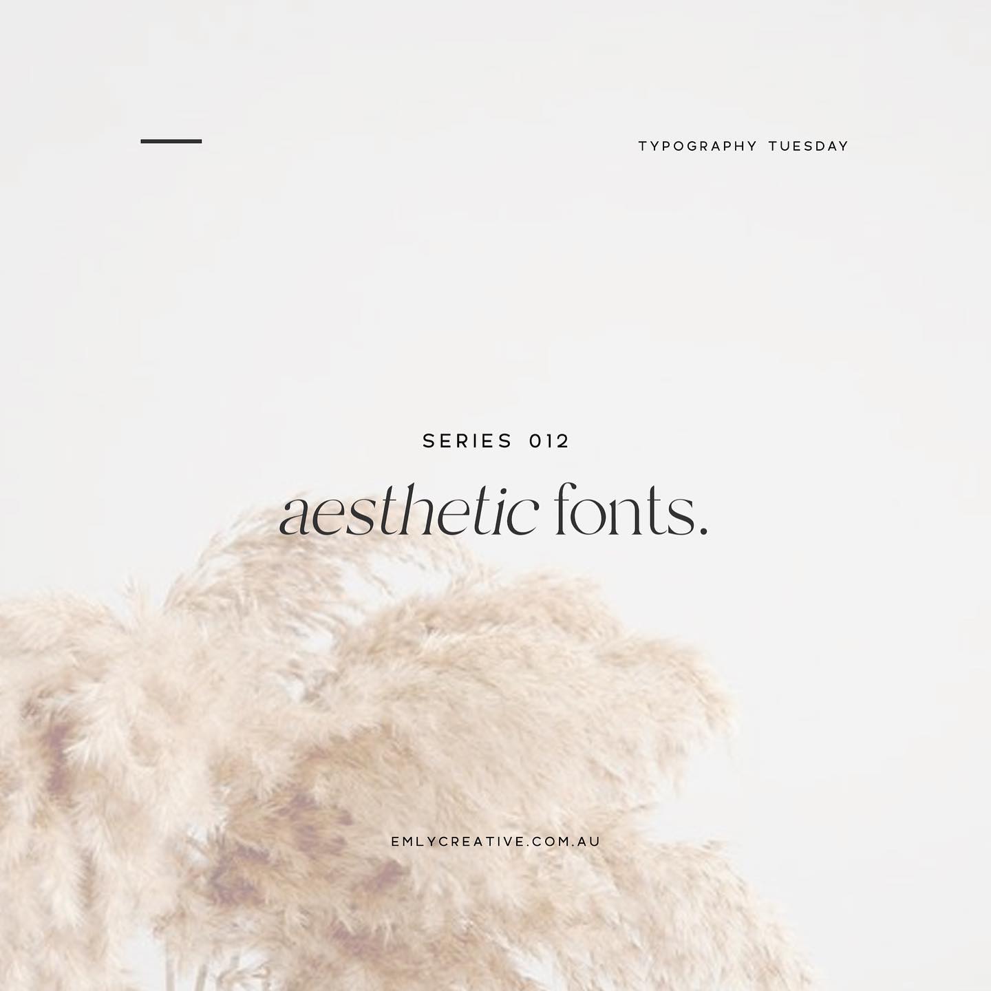 Typography Tuesday • Series 012
⠀⠀⠀⠀⠀⠀⠀⠀⠀
Which one is your favourite?
⠀⠀⠀⠀⠀⠀⠀⠀⠀
-
⠀⠀⠀⠀⠀⠀⠀⠀⠀
#graphicdesignmelbourne #typographytuesday #typography #fontideas #freefonts #fontdesign #graphicdesigner #smallbusinessbranding #welovebranding #9tothrive #brandingdesign #smallbusinessownerclub #smallbusinesstips #createyourhappy