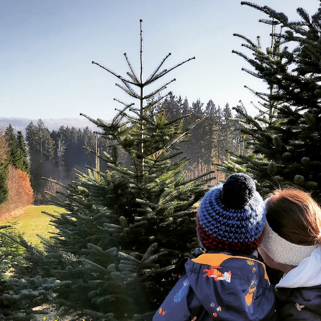 Der wird's wohl werden😉
Da gfrei ma uns scho, was as Christkindl draus macht...🌲🕯🌲
Einen schönen vierten Advent!
🌲🕯🌲🕯🌲🕯🌲🕯🌲
#saaldorfsurheim #berchtesgadenerland #dahoam
#weihnachtszeit #saaldorf #surheim