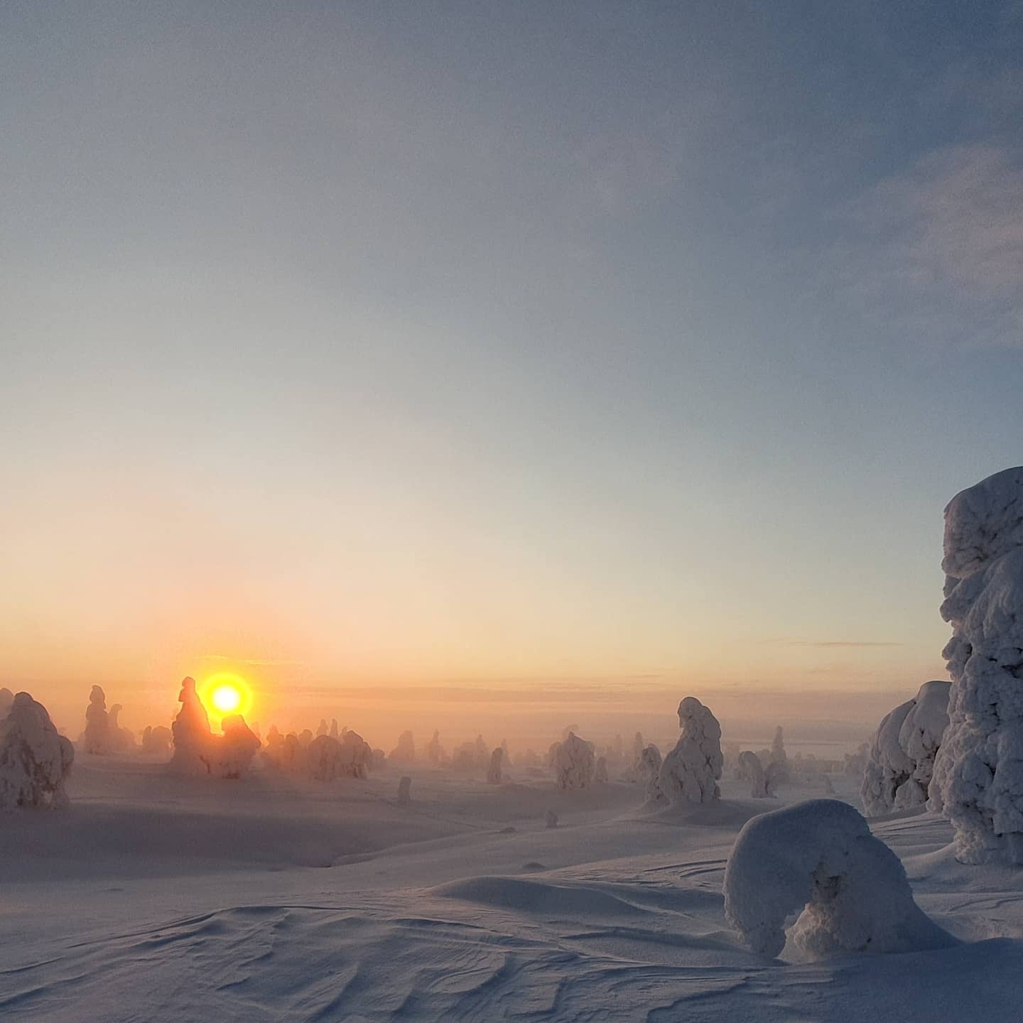 We survived the longest night of the year 💫 It was really beautiful, though. Almost full moon, starry sky, northern lights, sparkling snow.
Today is the winter solstice and the daylight time is starting to get longer again. It's always nice to see the sun, although it still can’t rise higher than this.
#polarnight #midday #arcticcircle #wintersolstice #visitlapland #earthexperience #laplandexperience #luontoonfi #naturalluxury #sunrise #sunriseporn #winterwonderland #winter @posiolapland