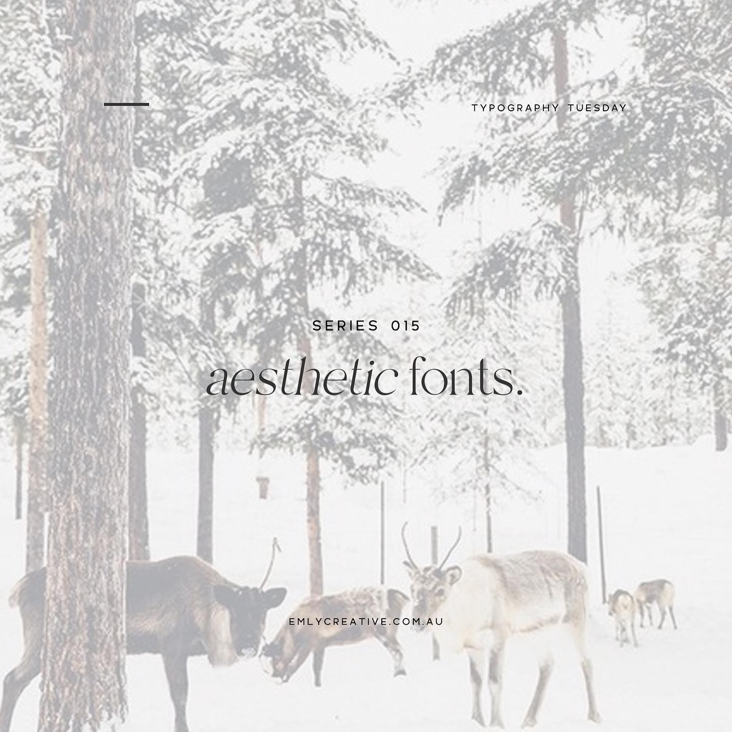 Typography Tuesday • Special Holiday Edition! These are the fonts that remind me of Christmas Time. 🎄
⠀⠀⠀⠀⠀⠀⠀⠀⠀
-
⠀⠀⠀⠀⠀⠀⠀⠀⠀
#brandingdesigner #graphicdesignmelbourne #typographytuesday #typography #fontideas #freefonts #fontdesign #typographyinspiration #womensupportingwomeninbusiness #graphicdesigner #smallbusinessbranding