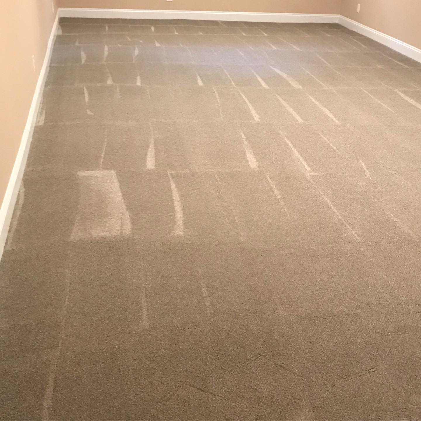 Some photos before the end of 2021