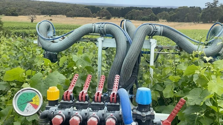 It’s a jungle out there peeps, keep your mask on. #spraying #niko #jungle #maskon #staysafe