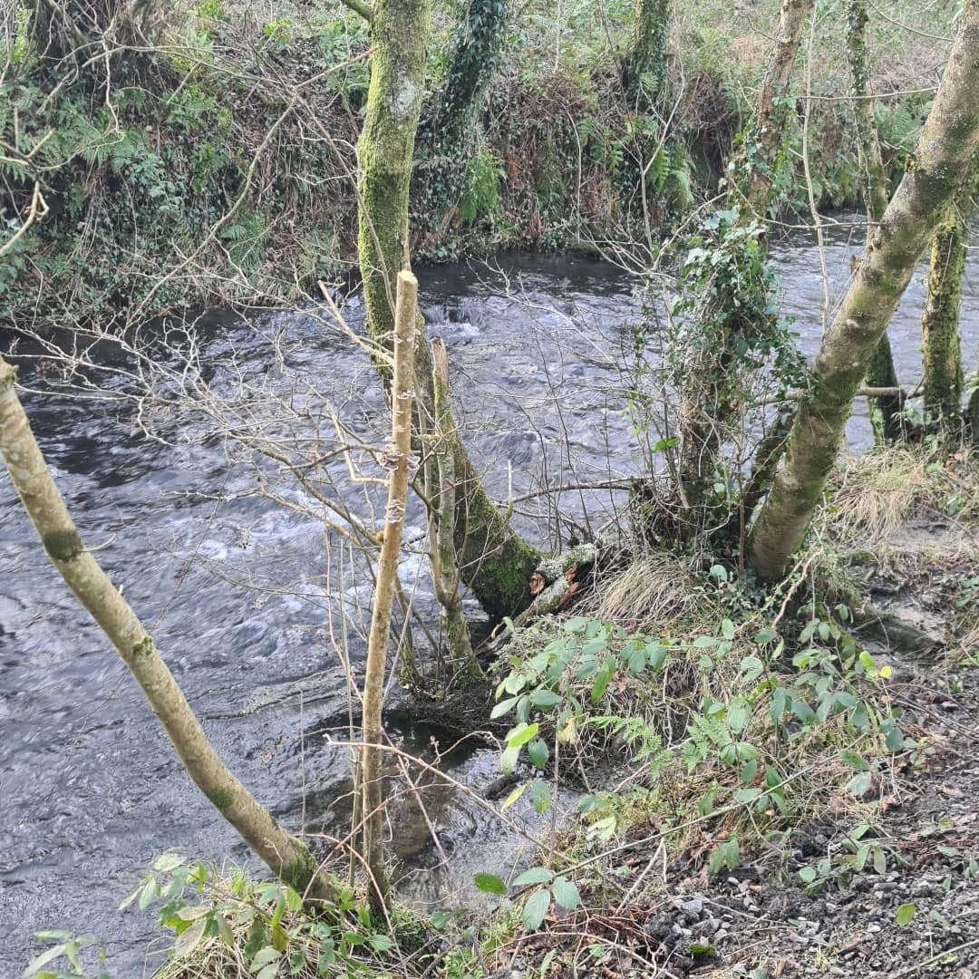 1st hike of the new year