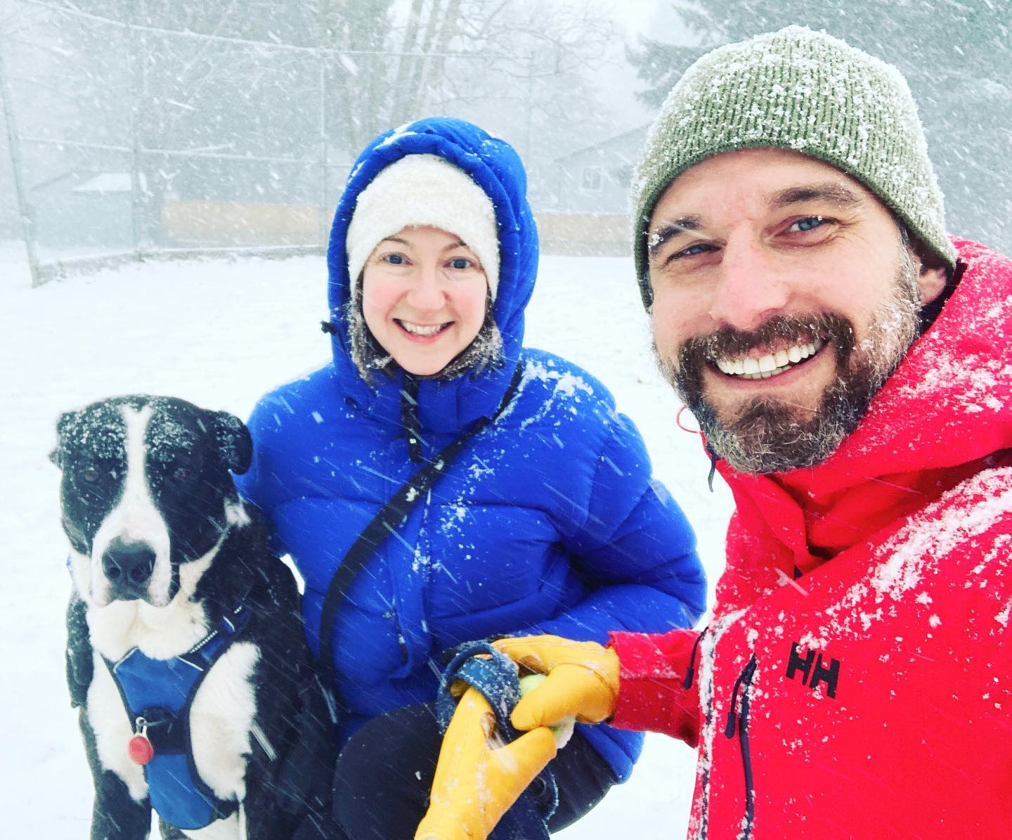 We’re back!
I meant to post before the wknd as we were actually back at @qbfarmersmarket on Saturday.
We had a super nice 2 week break. It was the perfect amount of downtime to relax but also get organized for the year ahead.
Find us every week at @islandrootsmarket and @qbfarmersmarket
Order online for Home Delivery
https://www.52footfarms.com/shop
Purchase our micros at:
@nesvog_meats_and_sausage_co
and Bodhi’s Bakery in Nanaimo