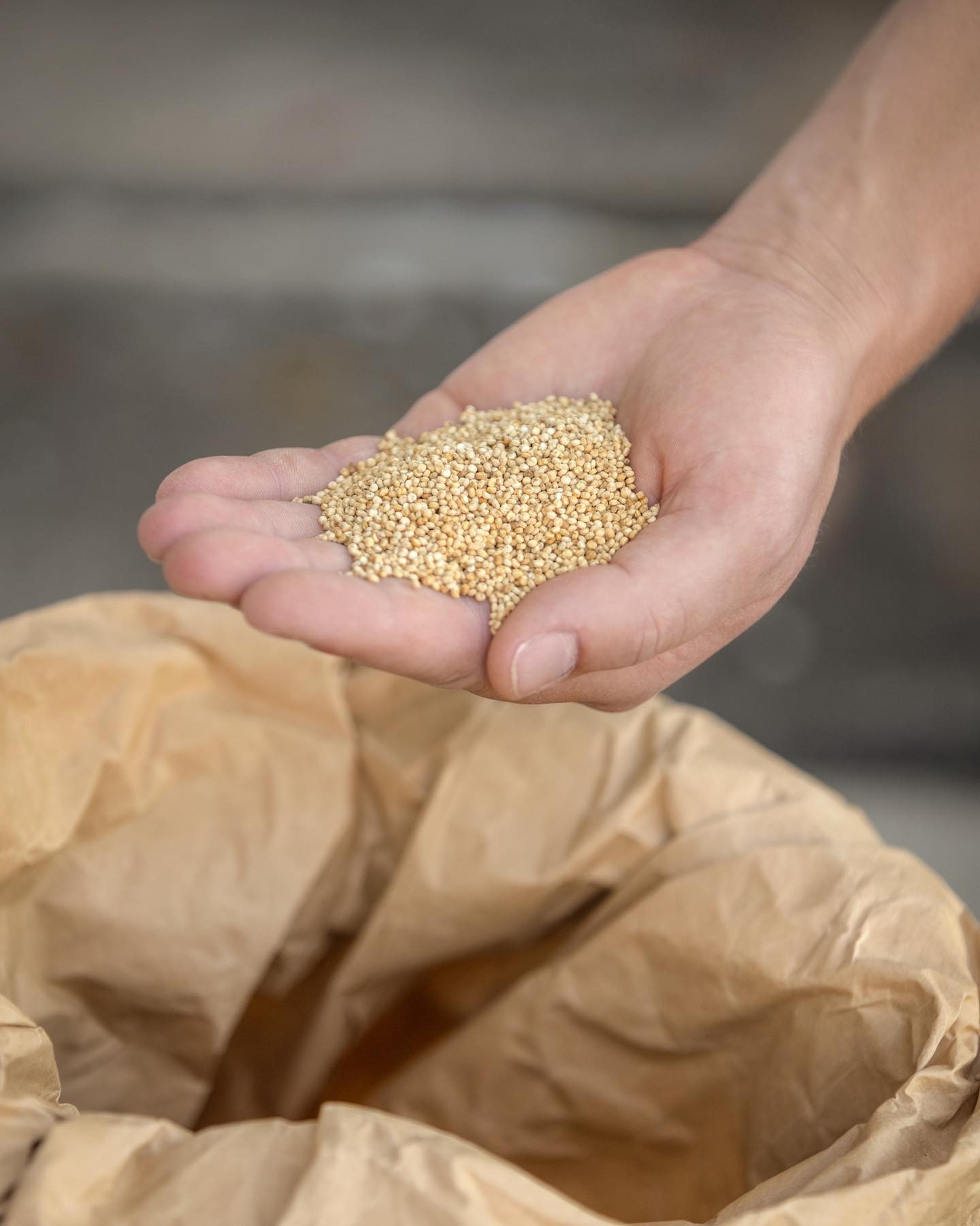 Fleischersatz aus hiesigem Anbau gewünscht?😋 Es hat noch von unserem Quinoa aus eigenem Anbau! Jede Woche bei uns am Markt erhältlich! Regional, nachhaltig und super lecker.
.
.
#superfood #schweizer #quinoa #demeter #bio #regional #gesund #lecker