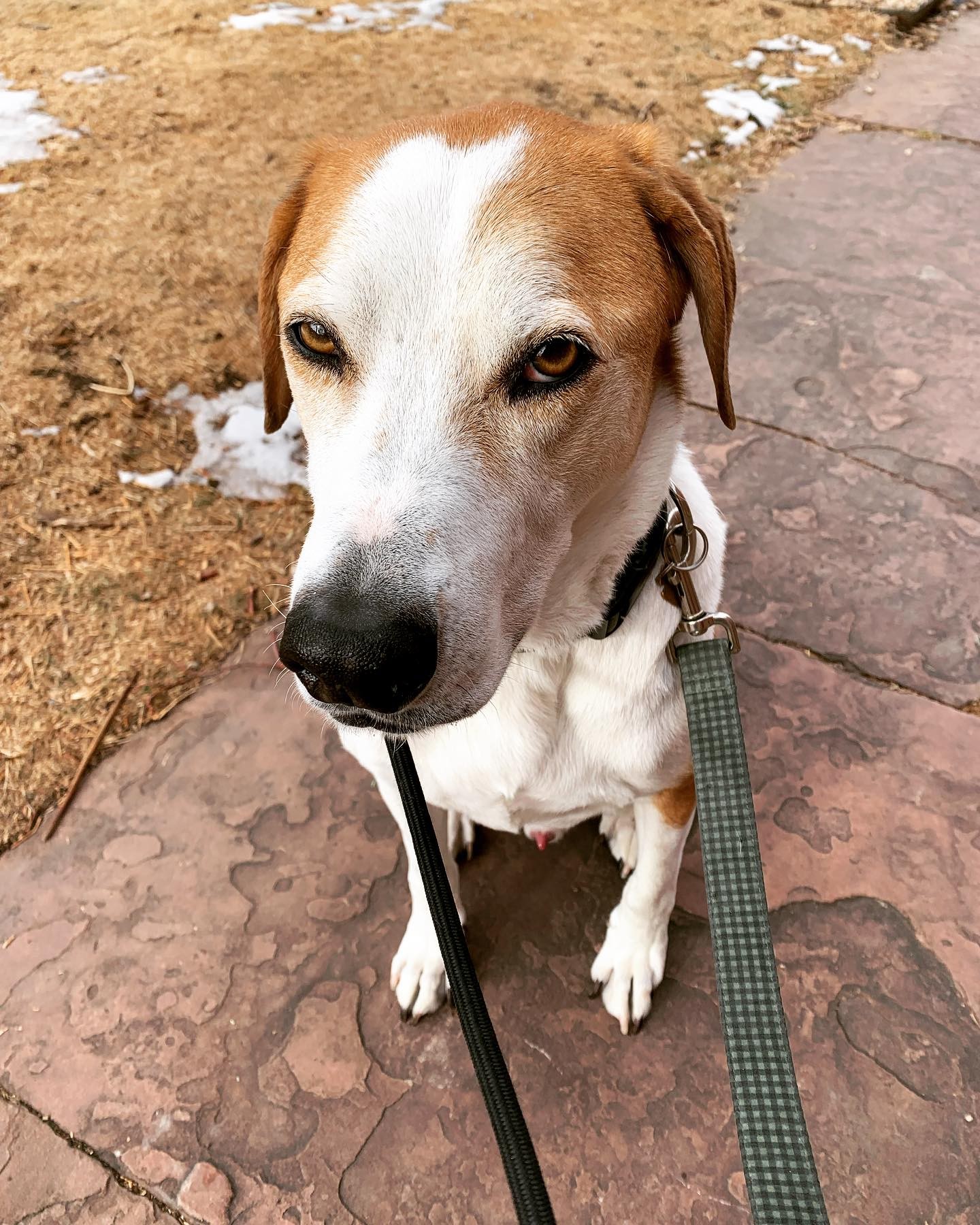 “Do you have to take my picture?”