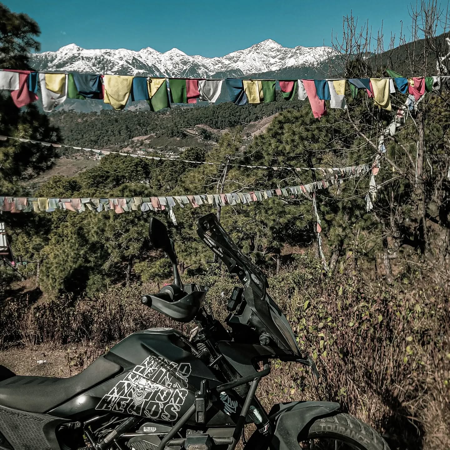 The road might not have answers to all questions, but it definitely blurs them out. 🤘🏻
#wildornothing #travelfar #whereareyou #bestapparel #bikers #motorheads #motorheadlifestyle #exploremore #max #mountainlife