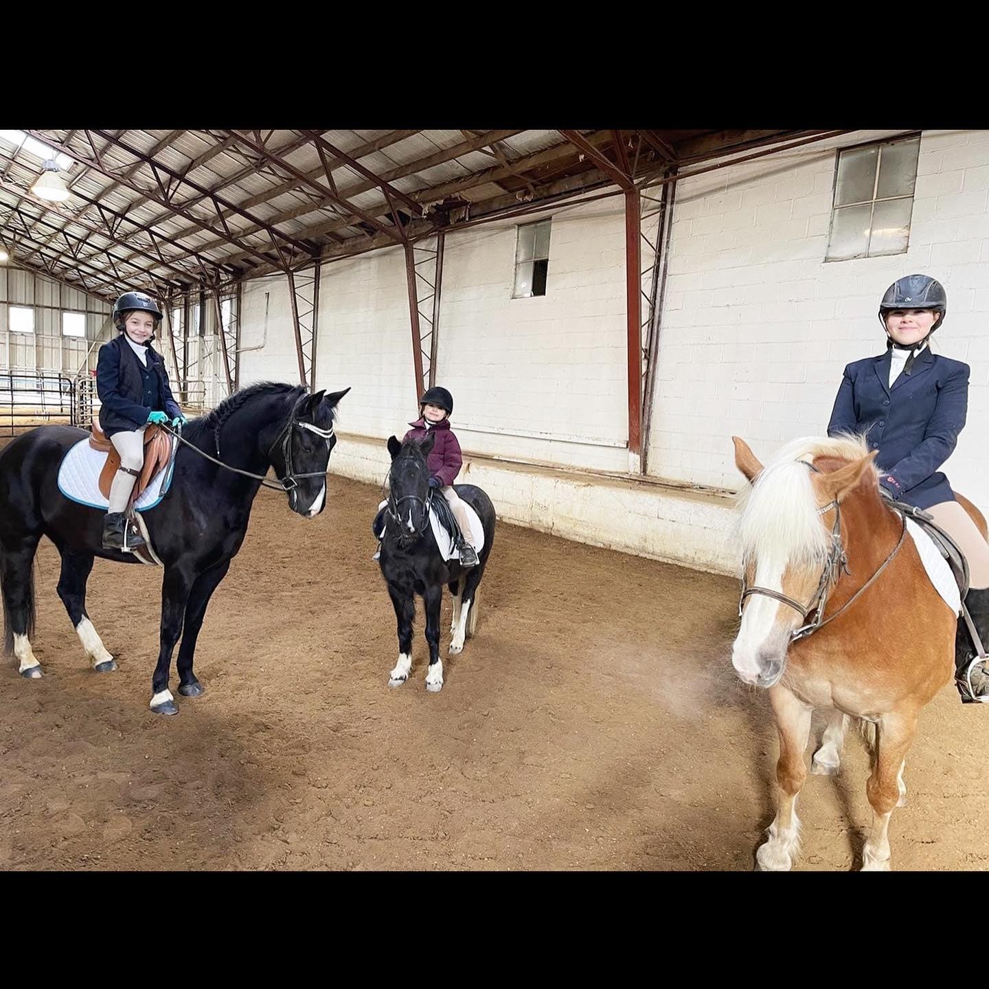 So proud of our #BristolKnightFarms girls, at their show at Blue Lake Farm.