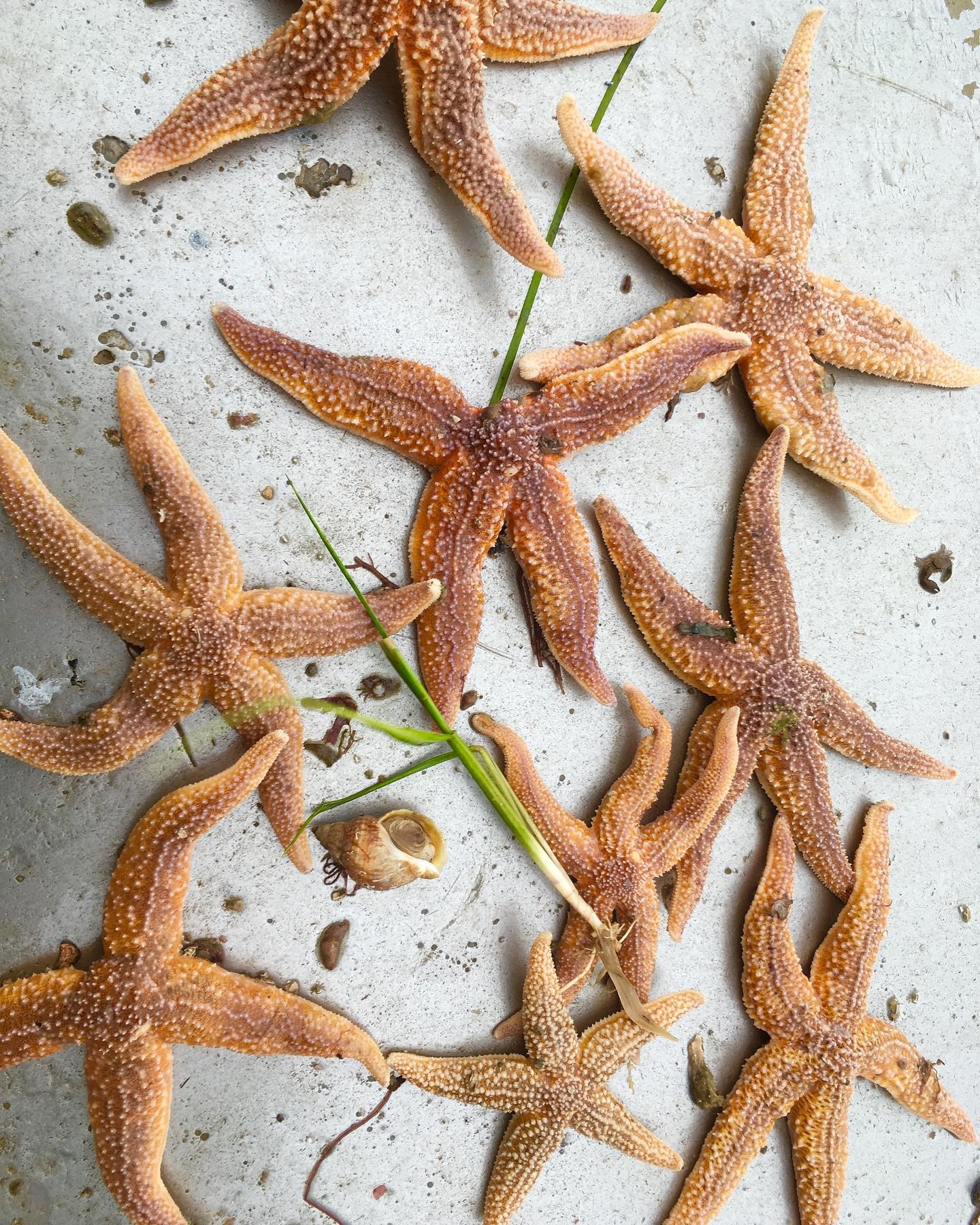 We are recruiting!!!
Do you have what it takes to be our brand new Environment Officer?
Job advert on our website… link in bio
#newjob #environment #yourtern