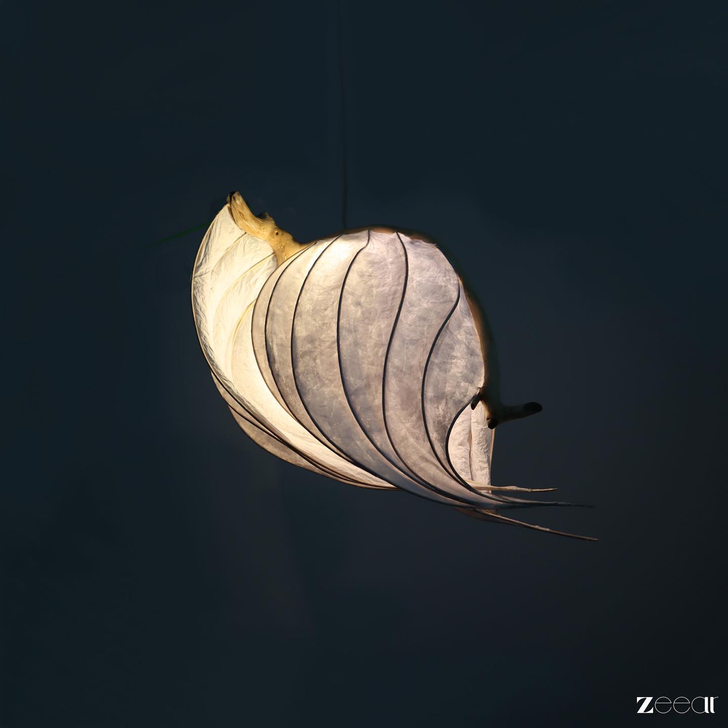 Martian craft is an outcome of sci-fi films and childhood memories.
Usually portrayed by Hollywood films, this handcrafted light sculpture closely relates to the fantasy of a typical martial ship.
Visit www.zeear.com to experience the realm of sustainable and nature inspired art. 😇
#zeear #natureinspired #sustainableart #lightsculpture #driftwoodsculpture